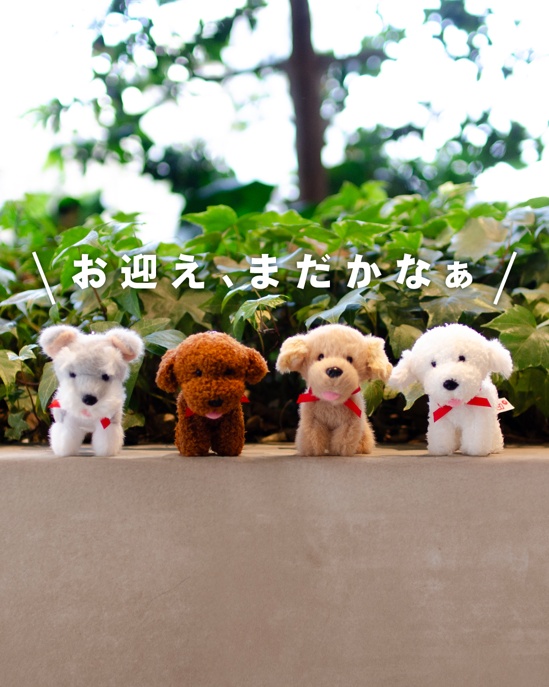 bnr1080x1350_nicidog01