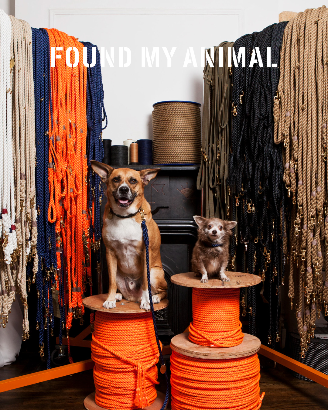 foundmyanimal_bnr
