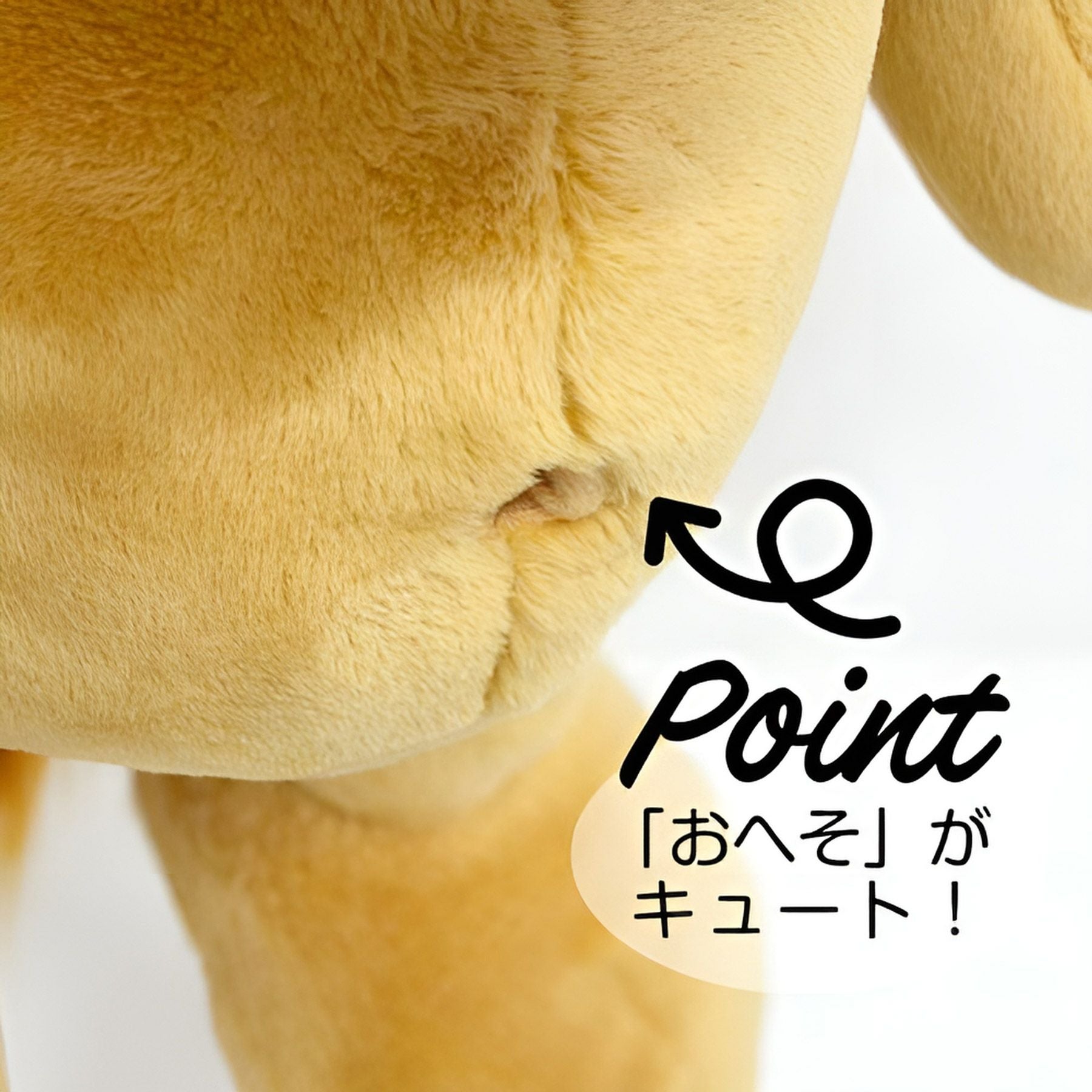 ぬいぐるみ ワイルドフレンズ22 ライオン／NICI（ニキ） | entresquare.com