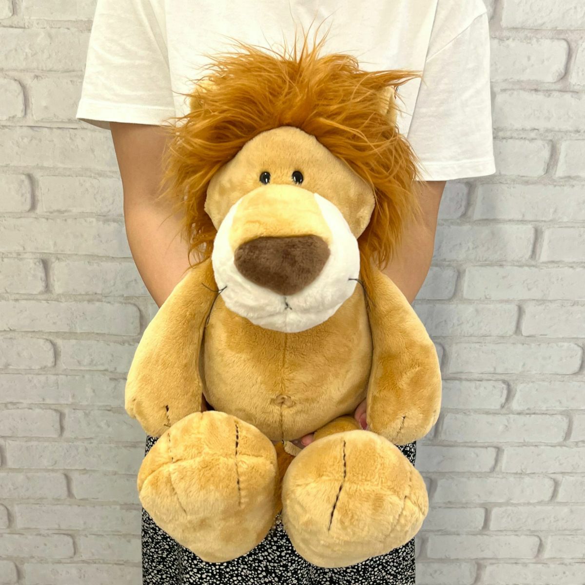 ぬいぐるみ ワイルドフレンズ22 ライオン／NICI（ニキ） | entresquare.com