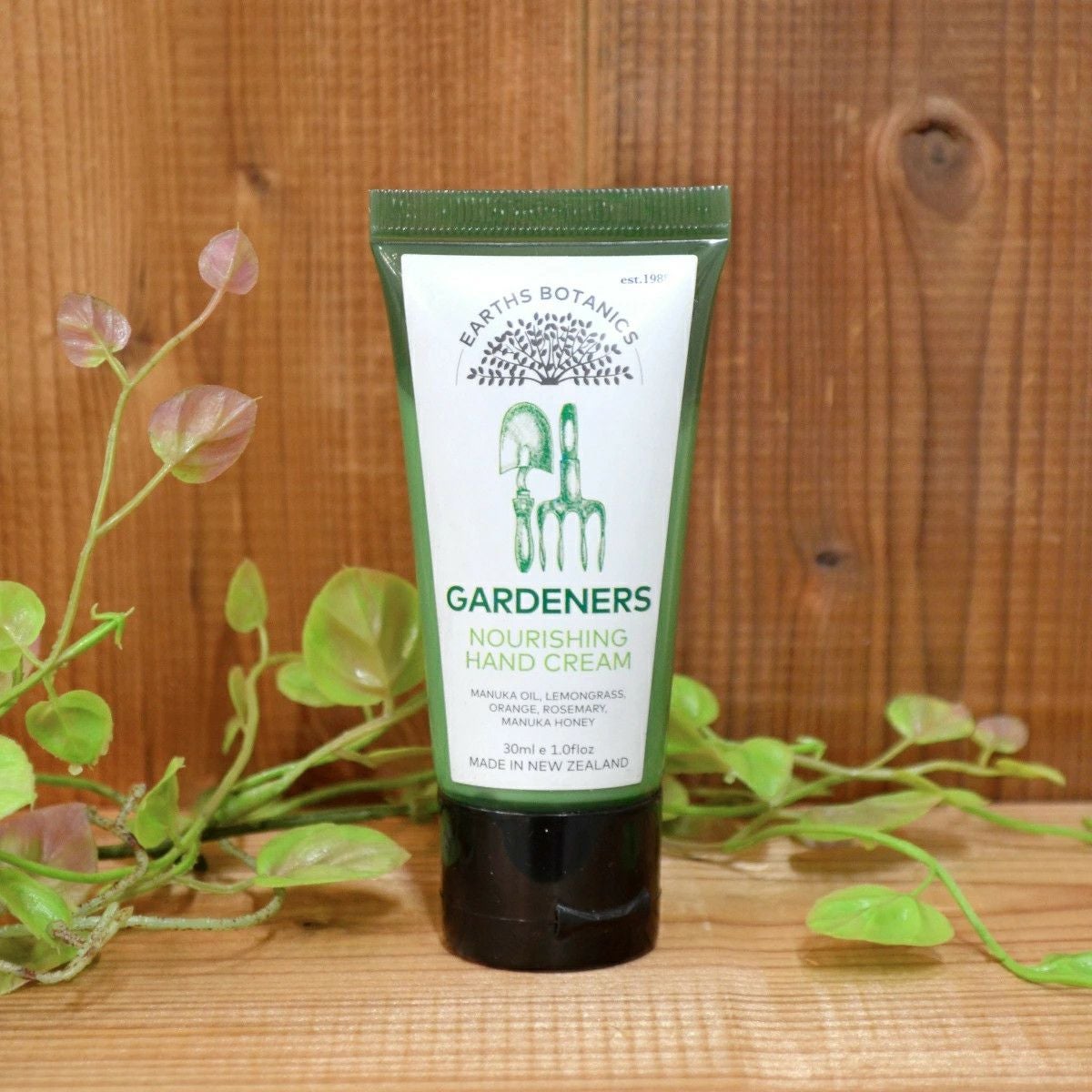 ビューティー|バス・ボディケア|ハンド・ボディクリーム| インテリア