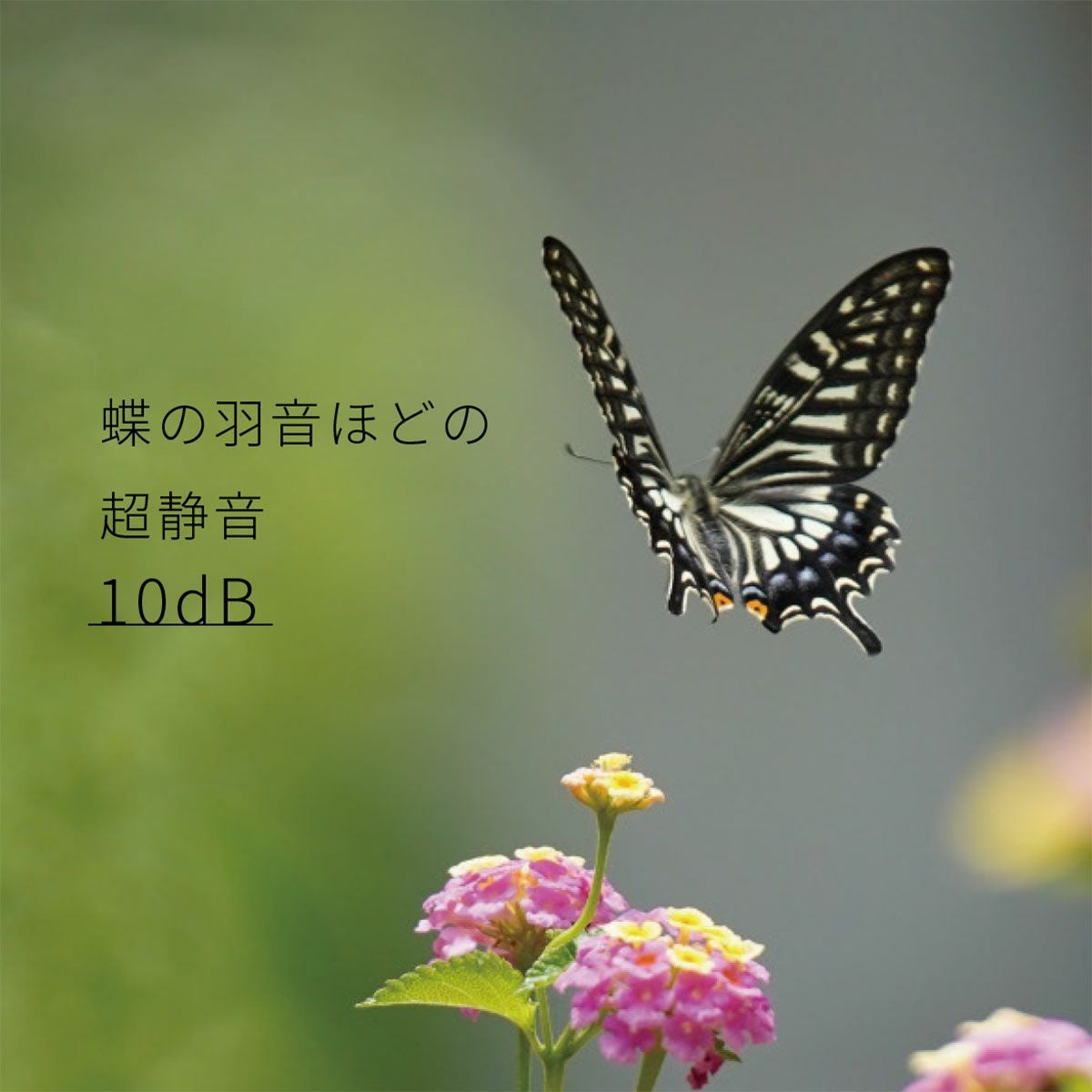 フィルターレス空気清浄機 イオニックブリーズMIDI ミディ／Ionic