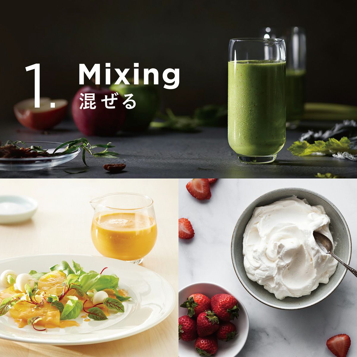 公式】バイタミックス Vitamix ミキサー E310日本正規輸入代理店
