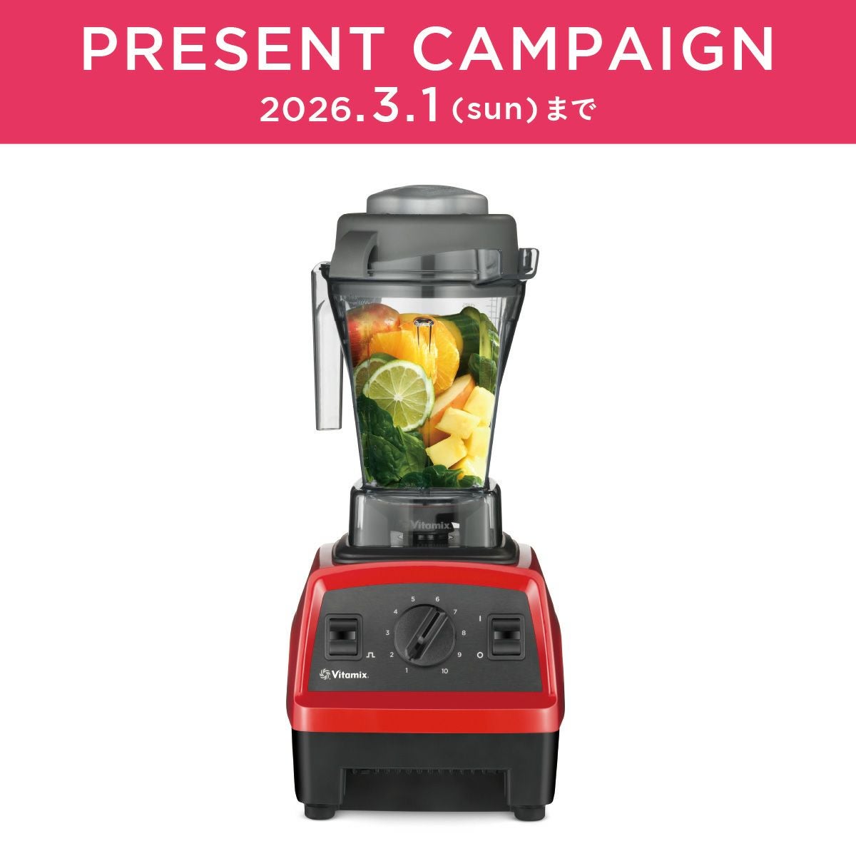 公式】バイタミックス Vitamix ミキサー E310日本正規輸入代理店