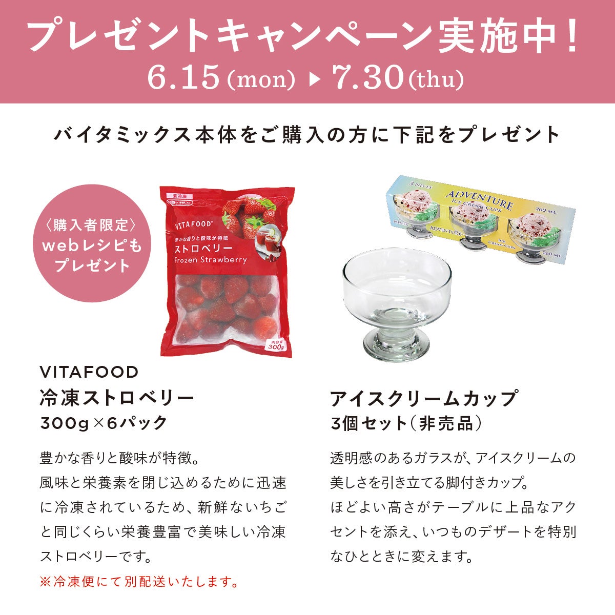 公式】バイタミックス Vitamix ミキサー E310日本正規輸入代理店