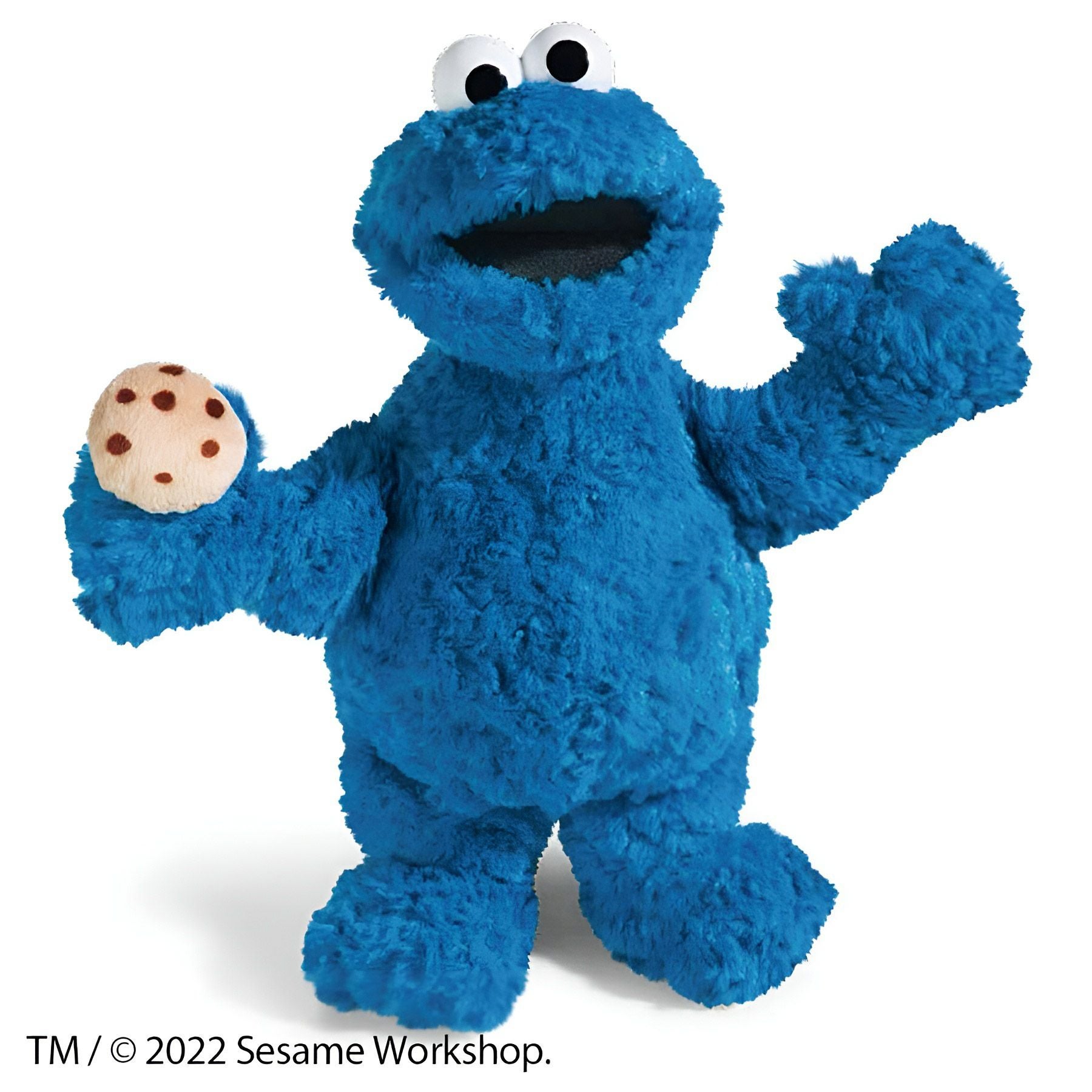ぬいぐるみ クッキーモンスター／SESAME STREET（セサミストリート 