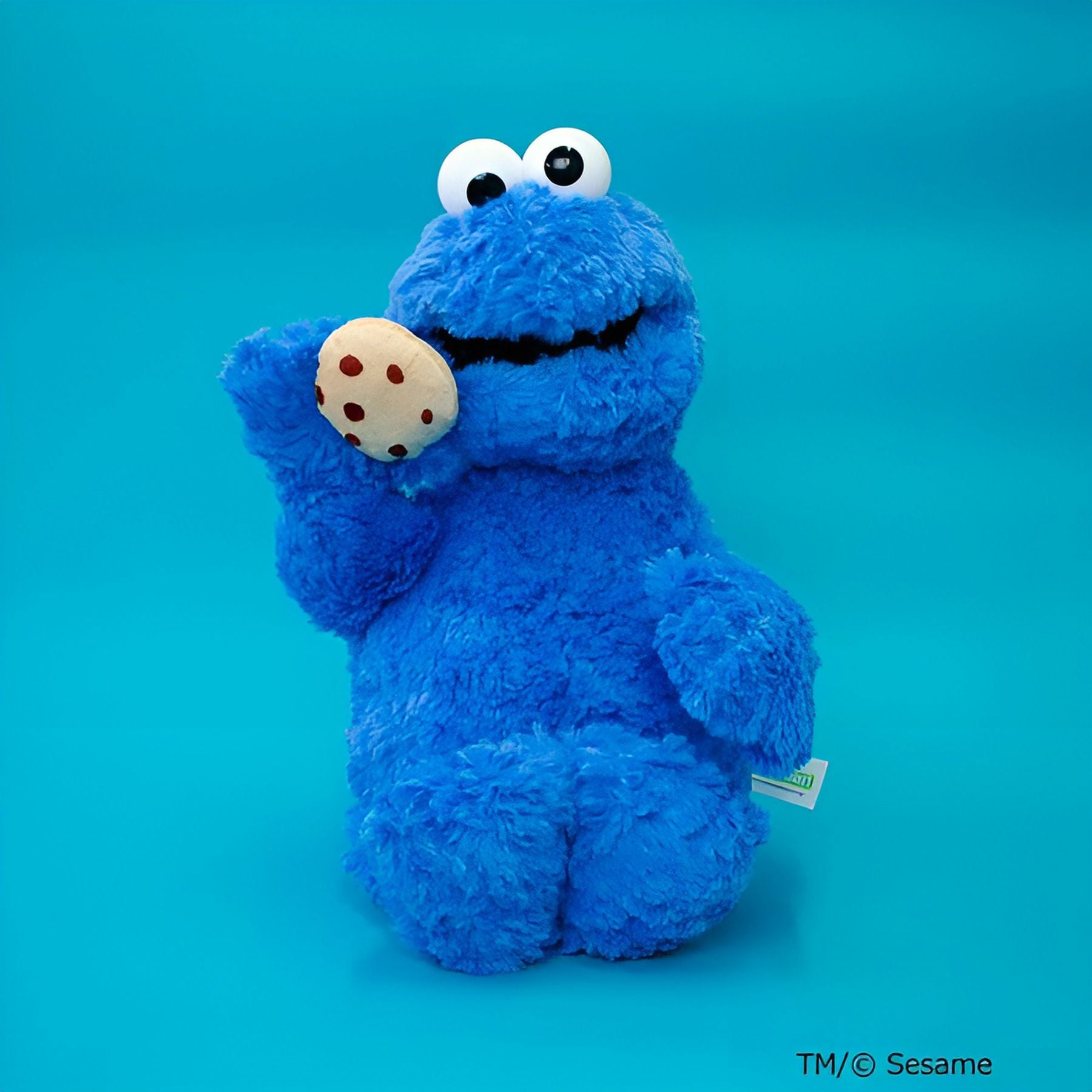 ぬいぐるみ クッキーモンスター／SESAME STREET（セサミストリート