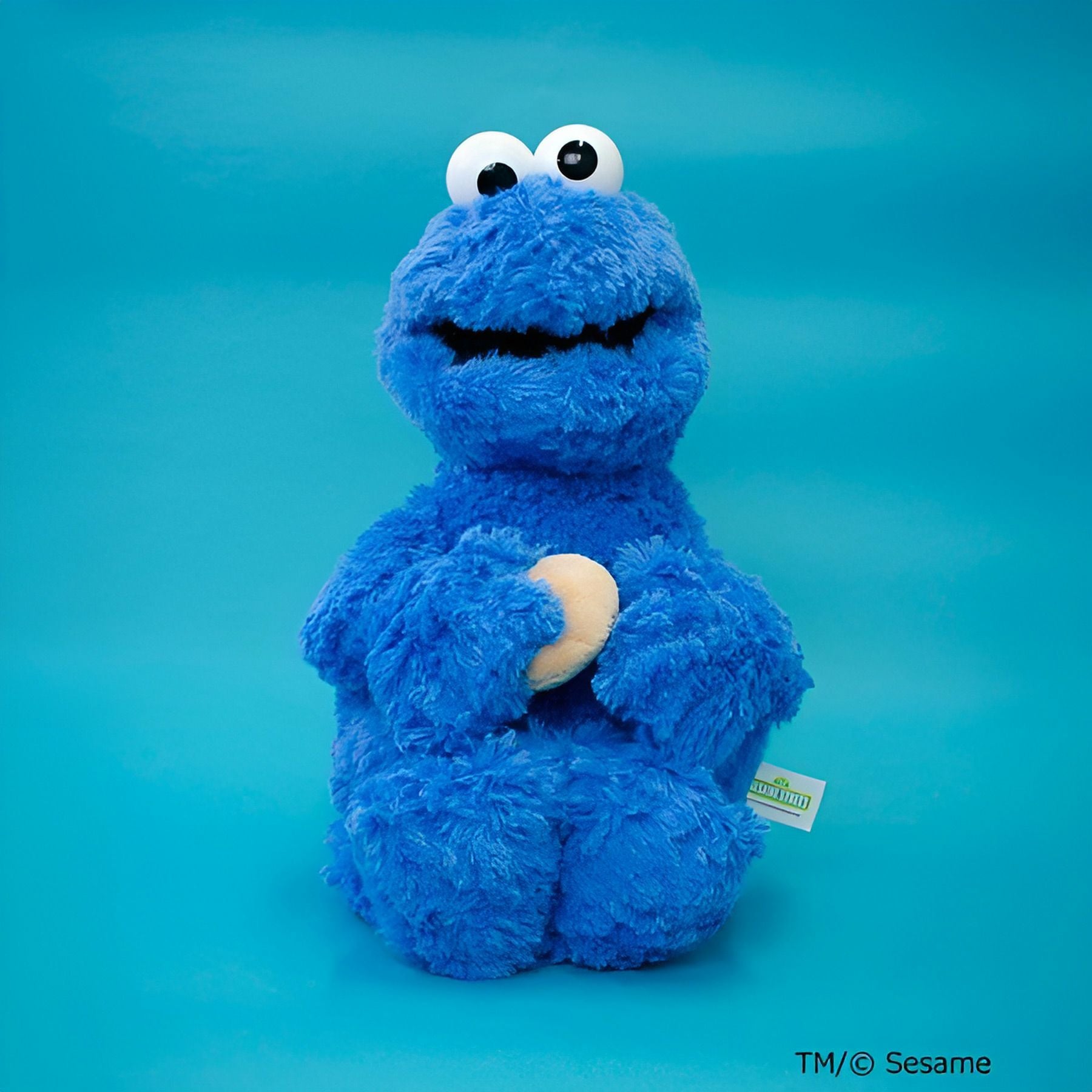 ぬいぐるみ クッキーモンスター／SESAME STREET（セサミストリート
