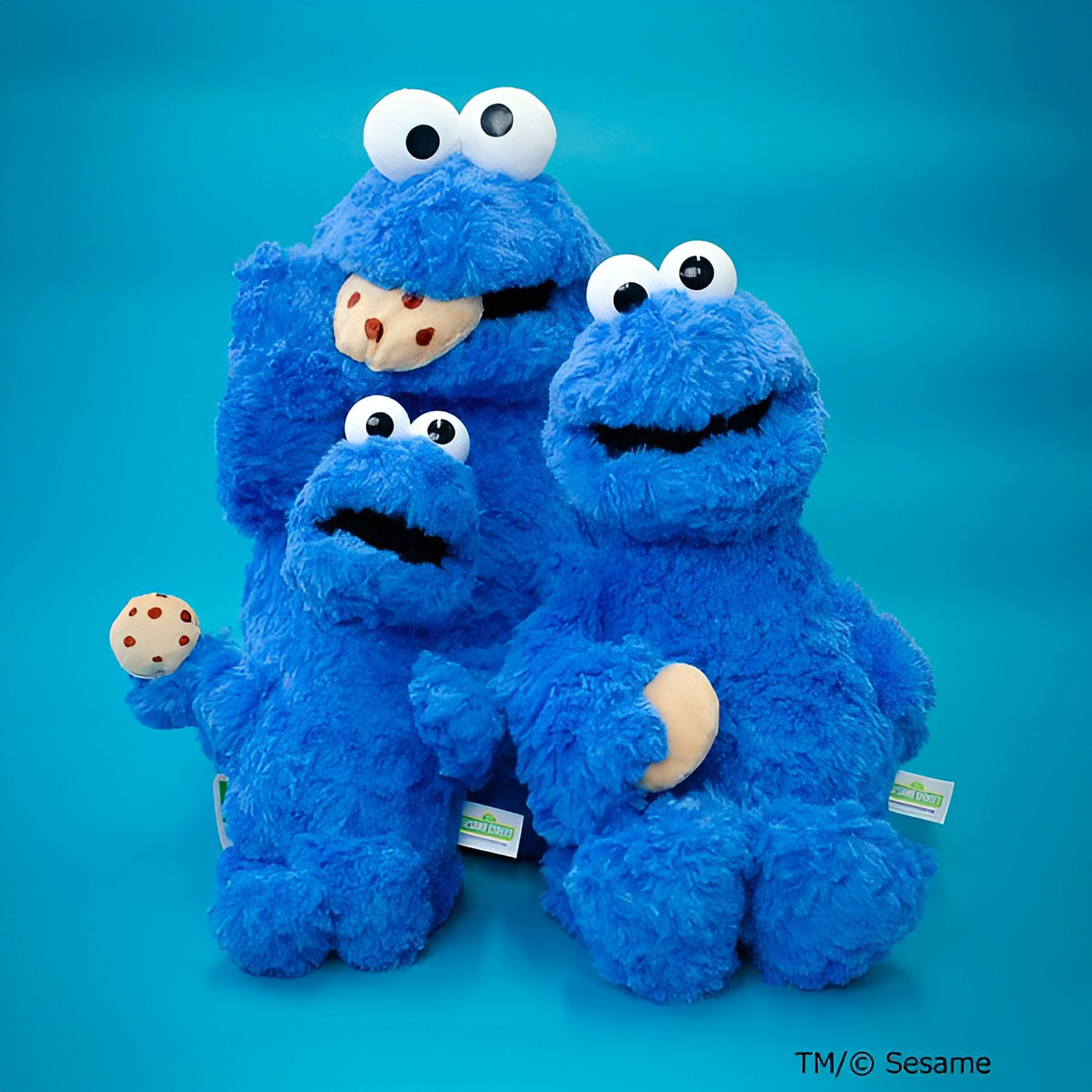 ぬいぐるみ クッキーモンスター／SESAME STREET（セサミストリート