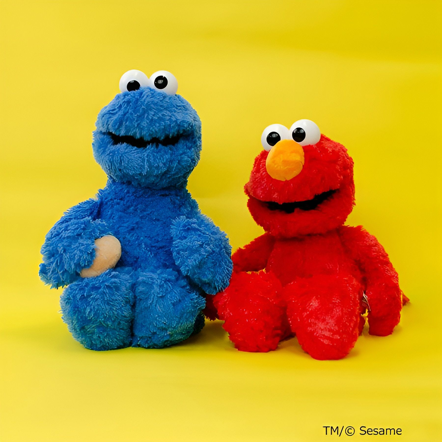 ぬいぐるみ クッキーモンスター／SESAME STREET（セサミストリート