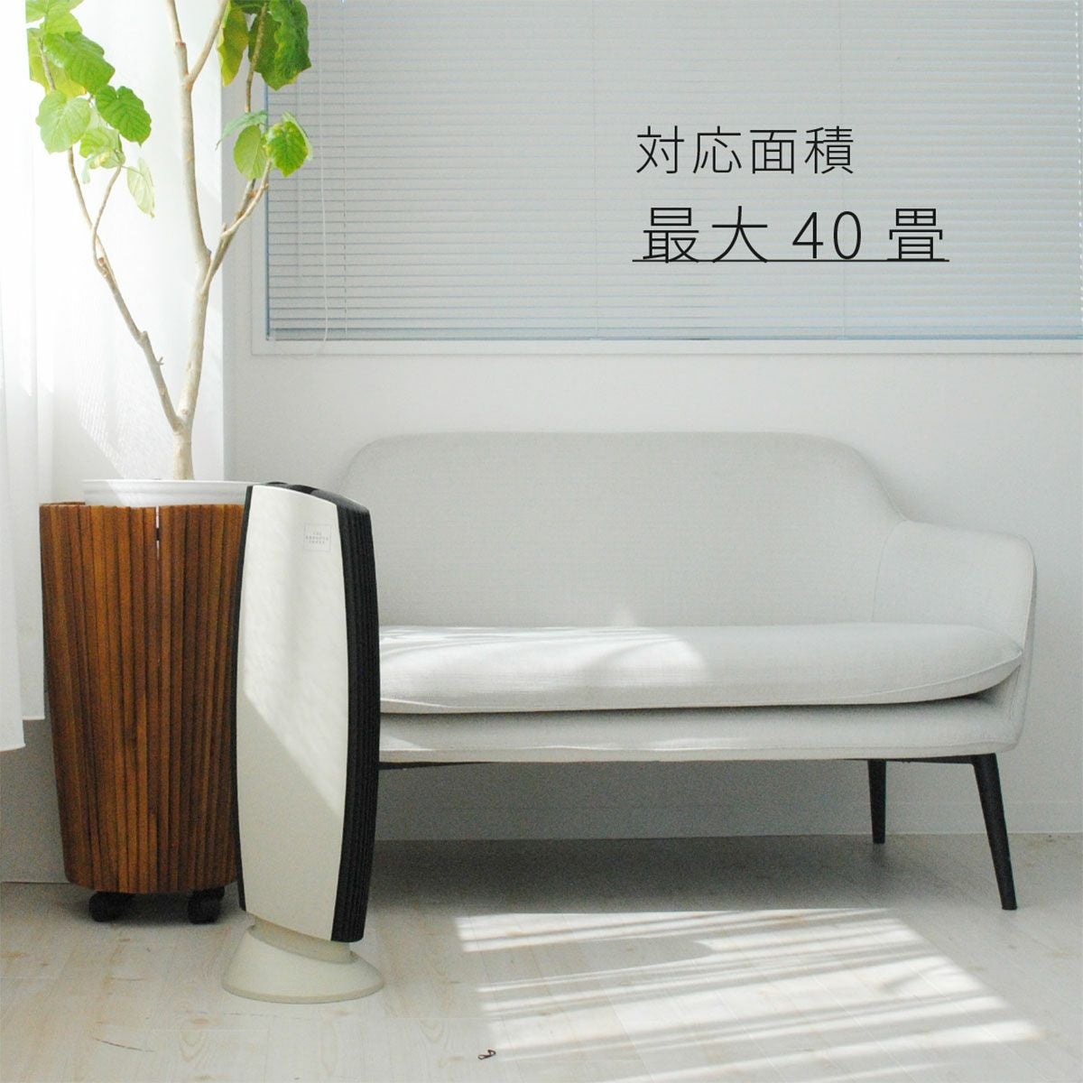 000000030315-09.jpg?size=m&w=