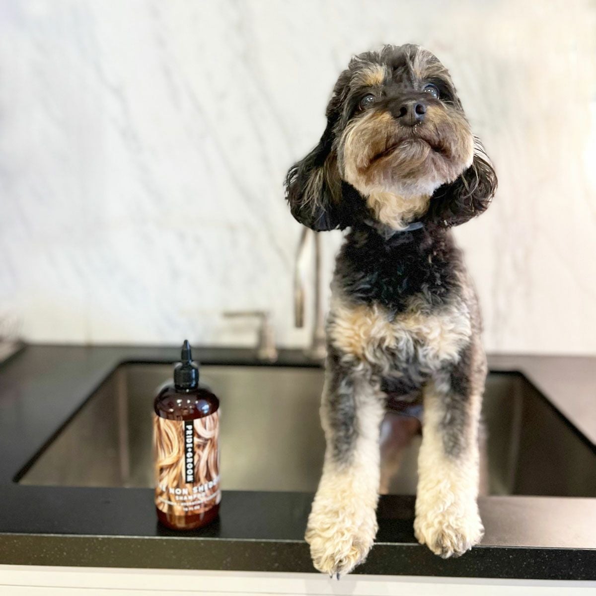 抜け毛の少ない犬種向け ノンシェダー ペットシャンプー 475ml