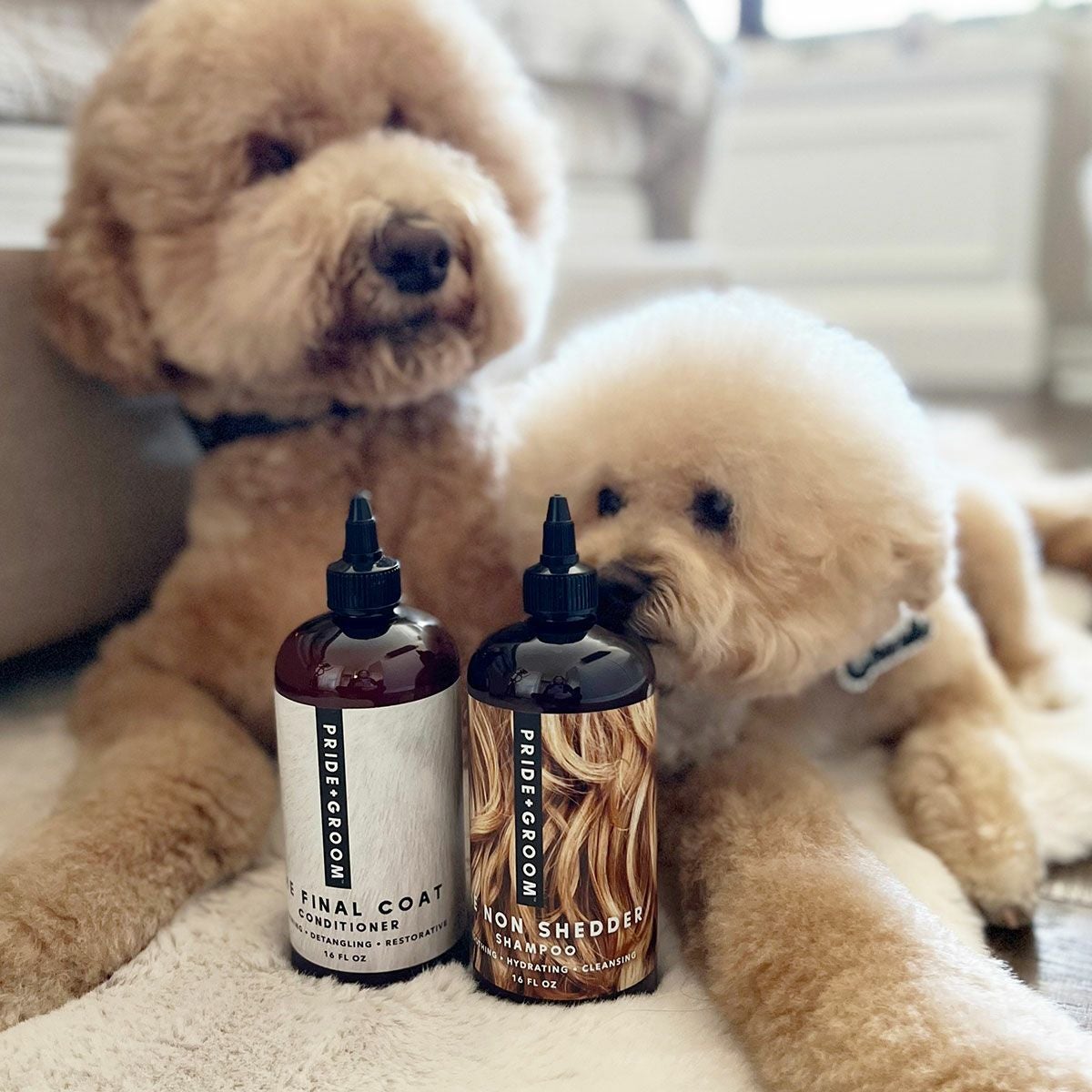 抜け毛の少ない犬種向け ノンシェダー ペットシャンプー 475ml