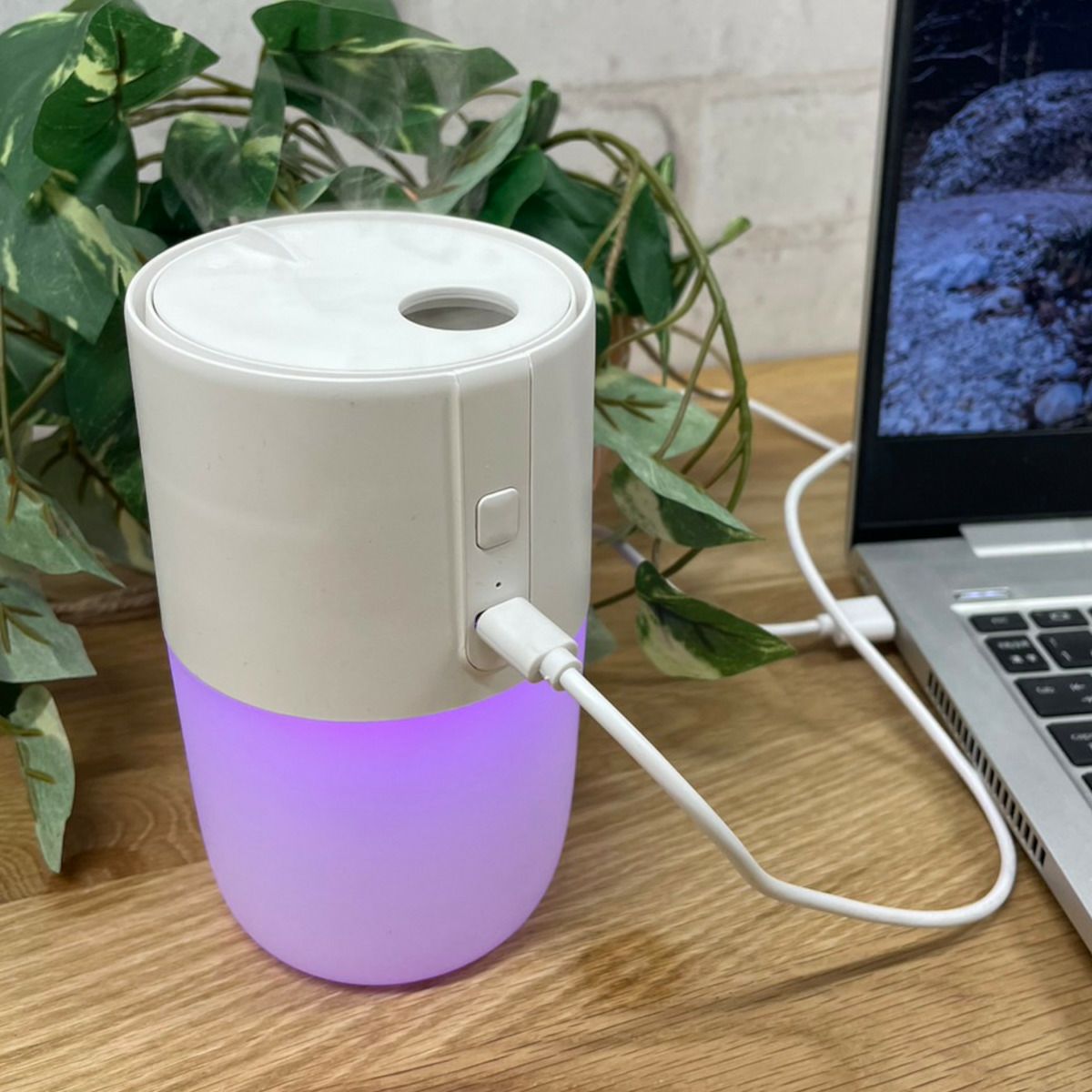 LED ジェリーフィッシュ ディフューザー／LEADWORKS（レッドワークス