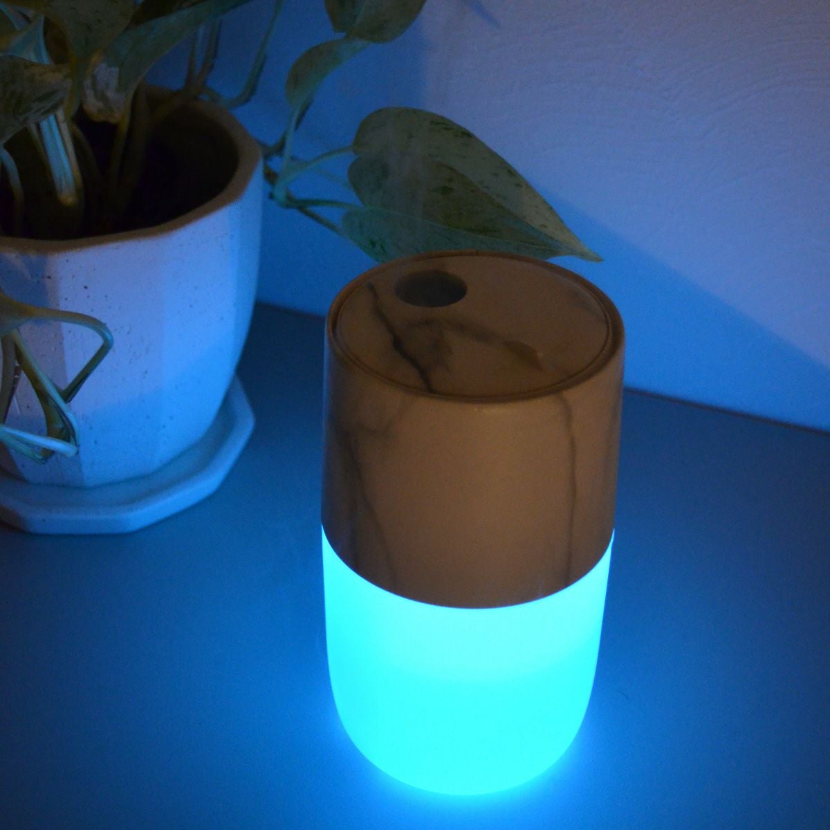 LED ジェリーフィッシュ ディフューザー／LEADWORKS（レッドワークス