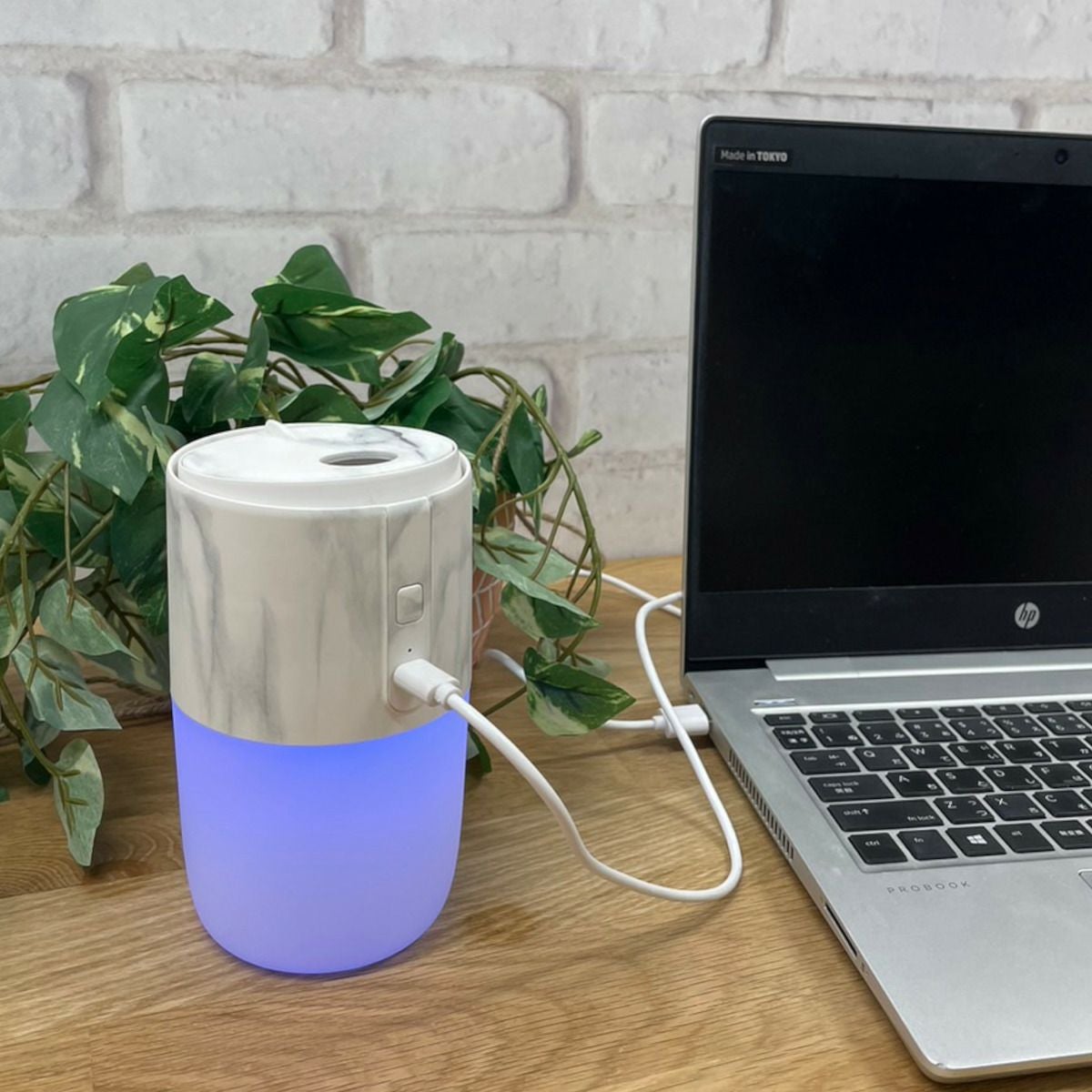 LED ジェリーフィッシュ ディフューザー／LEADWORKS（レッドワークス