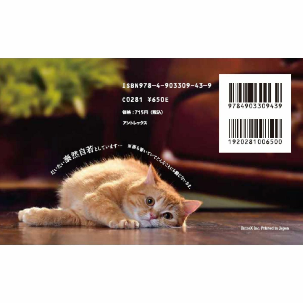 にゃんともﾈｺな 四字熟語／Surprise Book（サプライズブック
