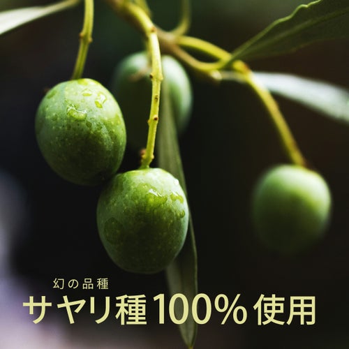 金賞受賞 NICHEN Typical エキストラバージンオリーブオイル250ml×6本セット