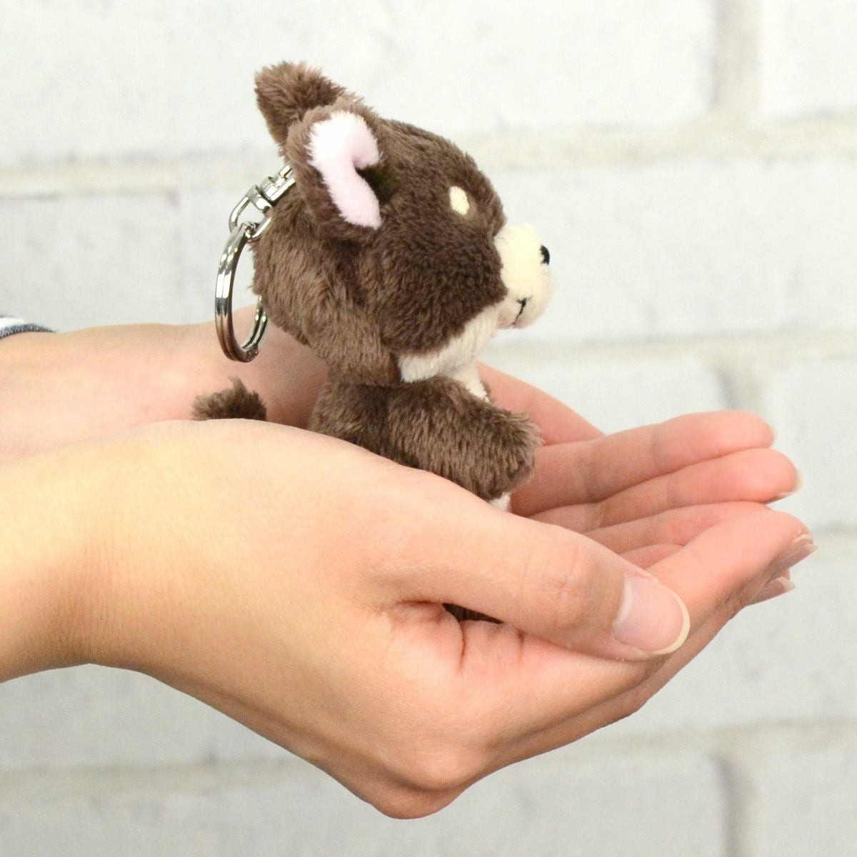 キーリング チワワ 10cm／NICI（ニキ） | entresquare.com