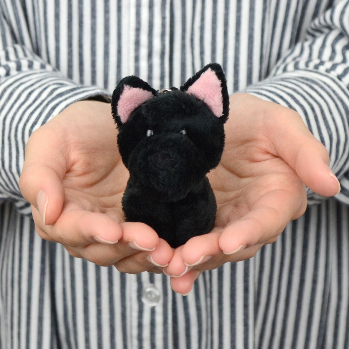 キーリング スコティッシュテリア 10cm／NICI（ニキ） | entresquare.com