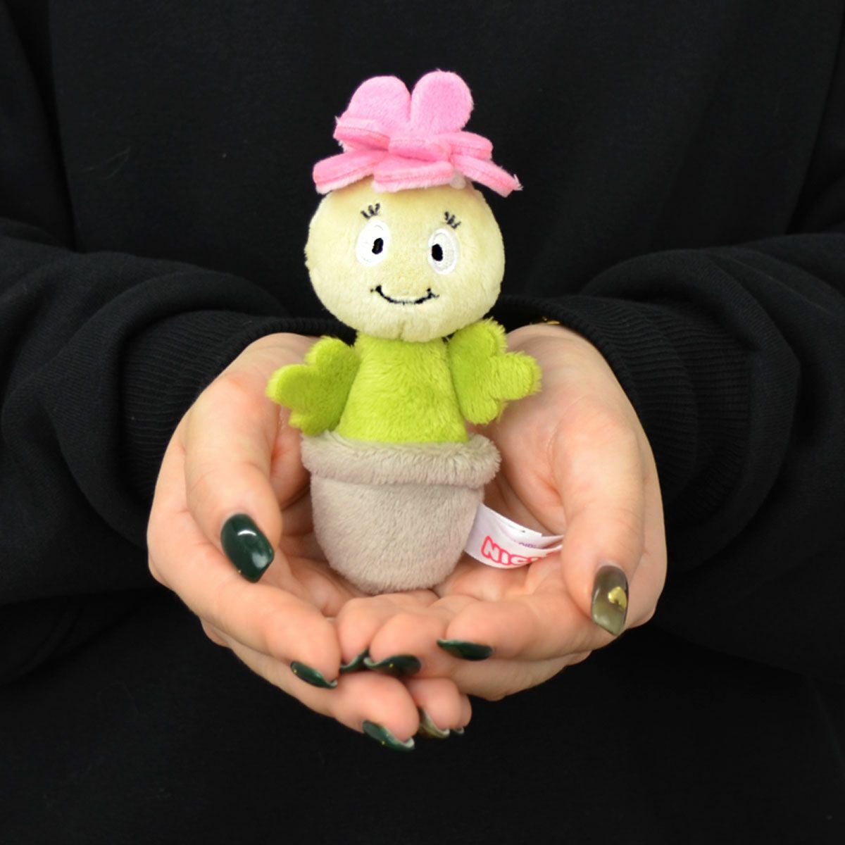 キーリング ファニーフラワーズ セダム アマリア 10cm／NICI（ニキ