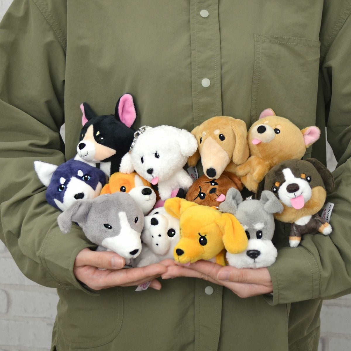 キーリング シュナウザー/Ben Lenovitz／NICI（ニキ） | entresquare.com