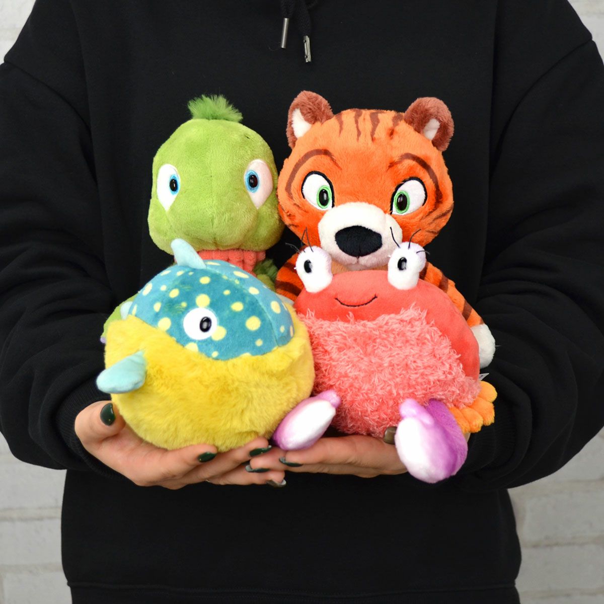 サンセットドリーム2024 カニ シーベル クラシック／NICI（ニキ