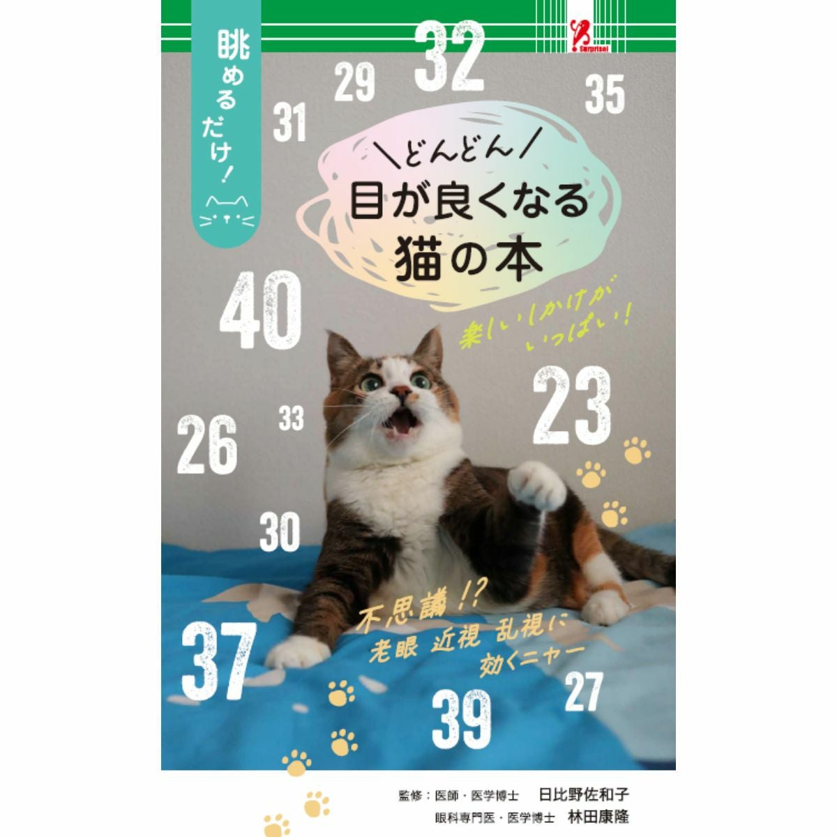 にゃんともﾈｺな 四字熟語／Surprise Book（サプライズブック