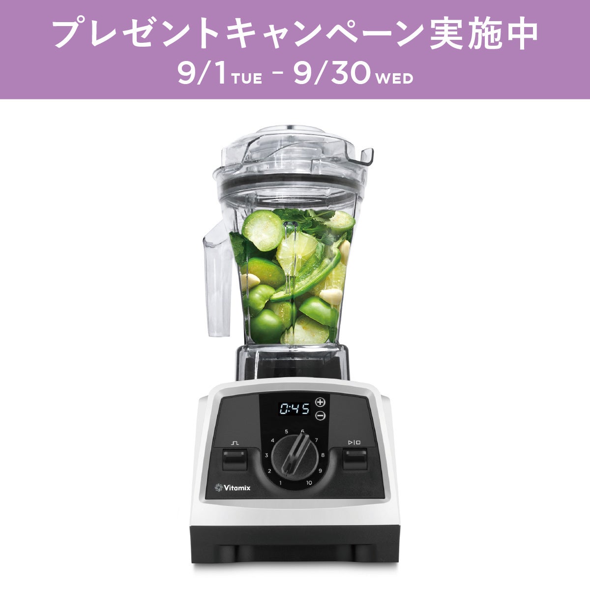 公式】バイタミックス ミキサータンパー 2.0Lコンテナ用（E310 