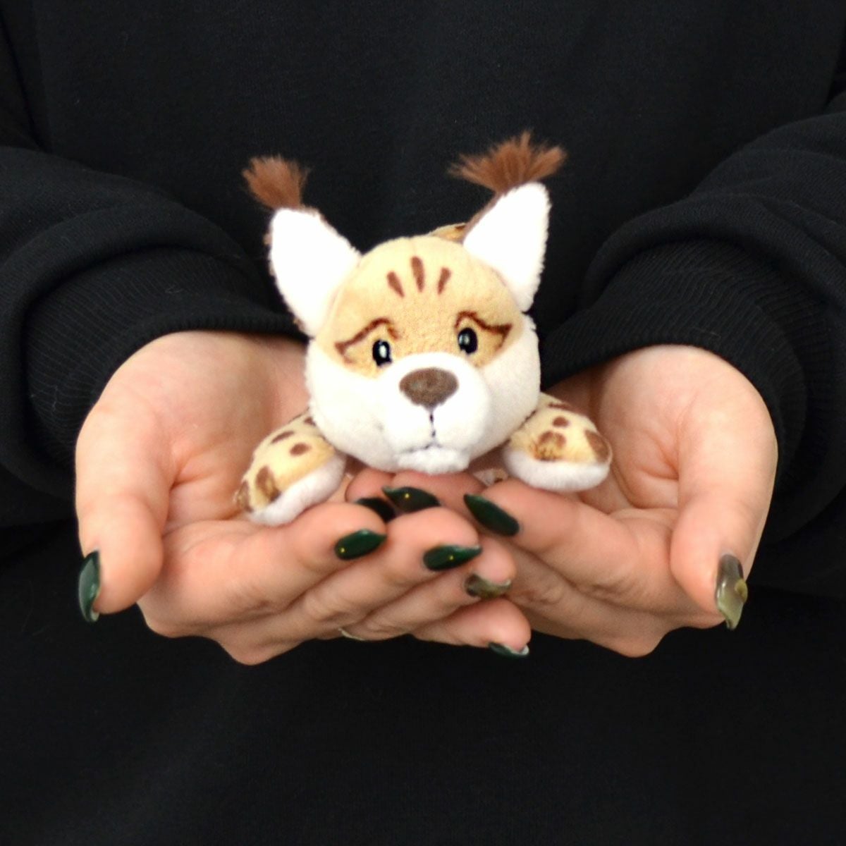 マグニキ ワイルドフレンズ2024 オオヤマネコ ライカ 12㎝／NICI（ニキ
