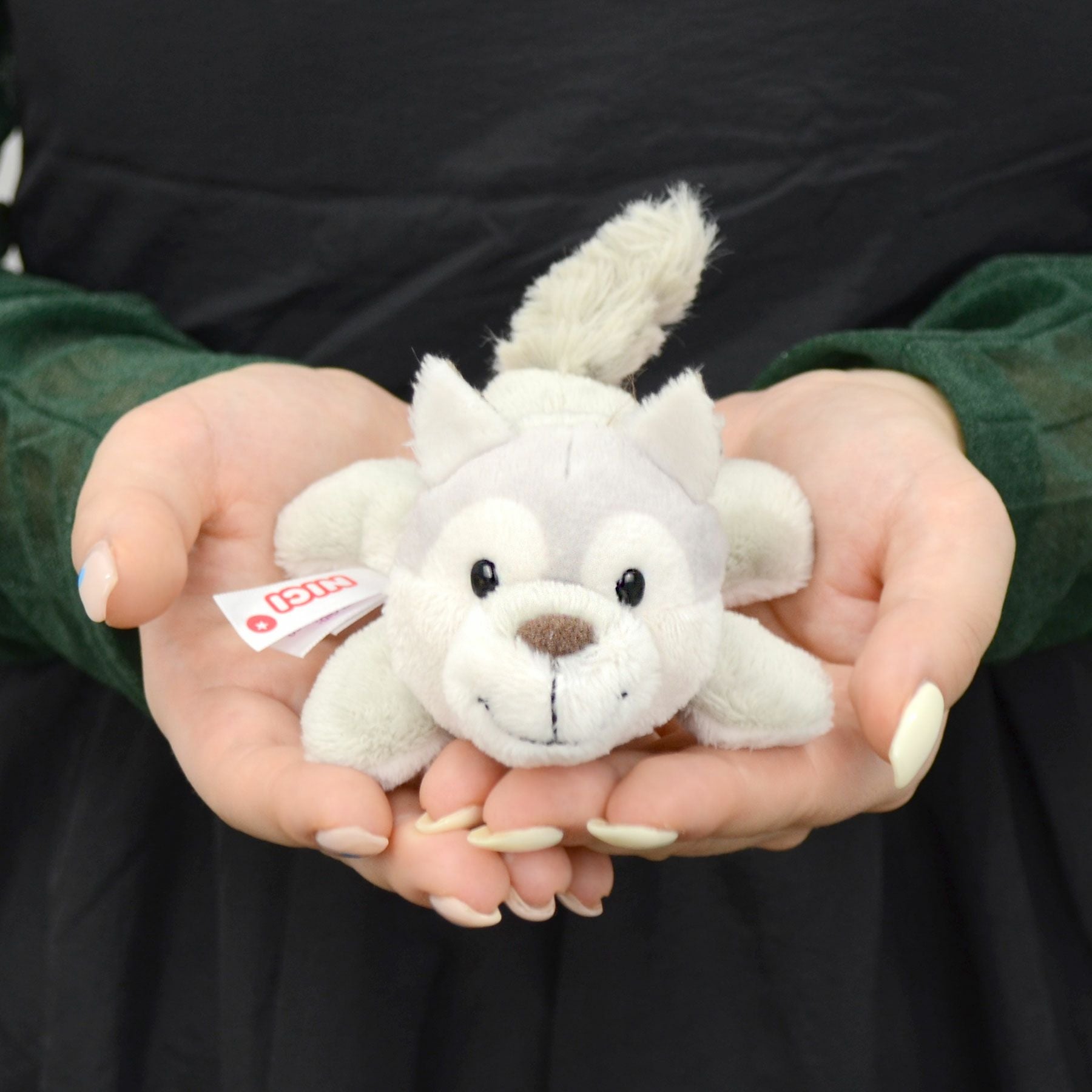 MN FF2024 ウルフ ウィニー 12cm／NICI（ニキ） | entresquare.com