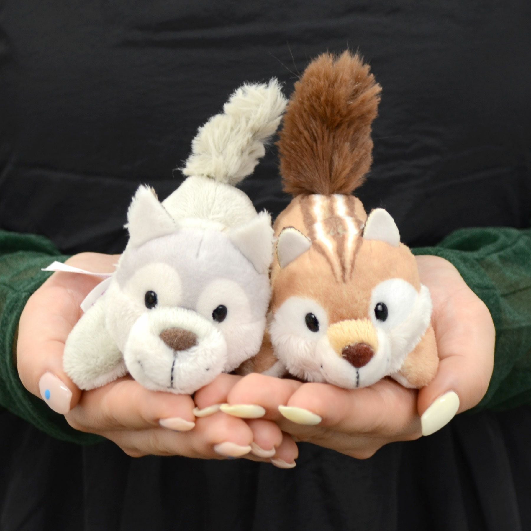 MN FF2024 ウルフ ウィニー 12cm／NICI（ニキ） | entresquare.com