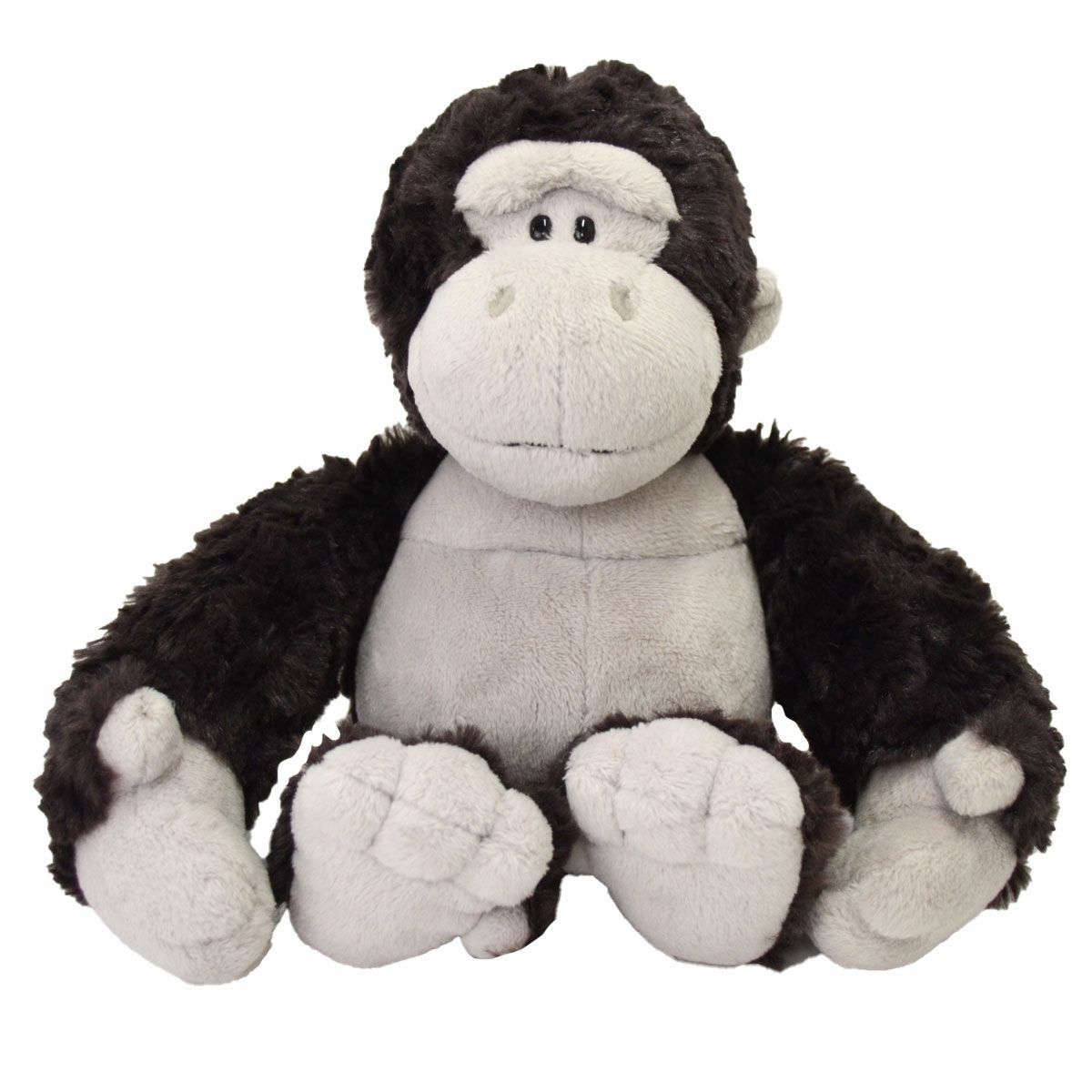 000000036999-01.jpg?size=m&w=