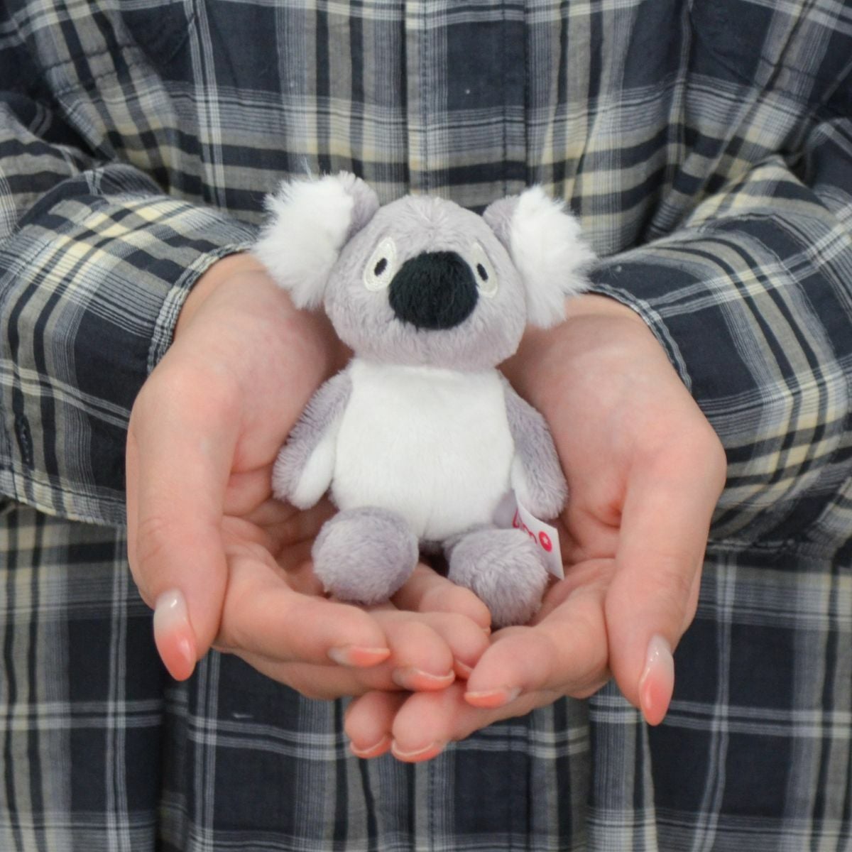 キーホルダー WF25 コアラ バリー 10cm／NICI（ニキ） | entresquare.com