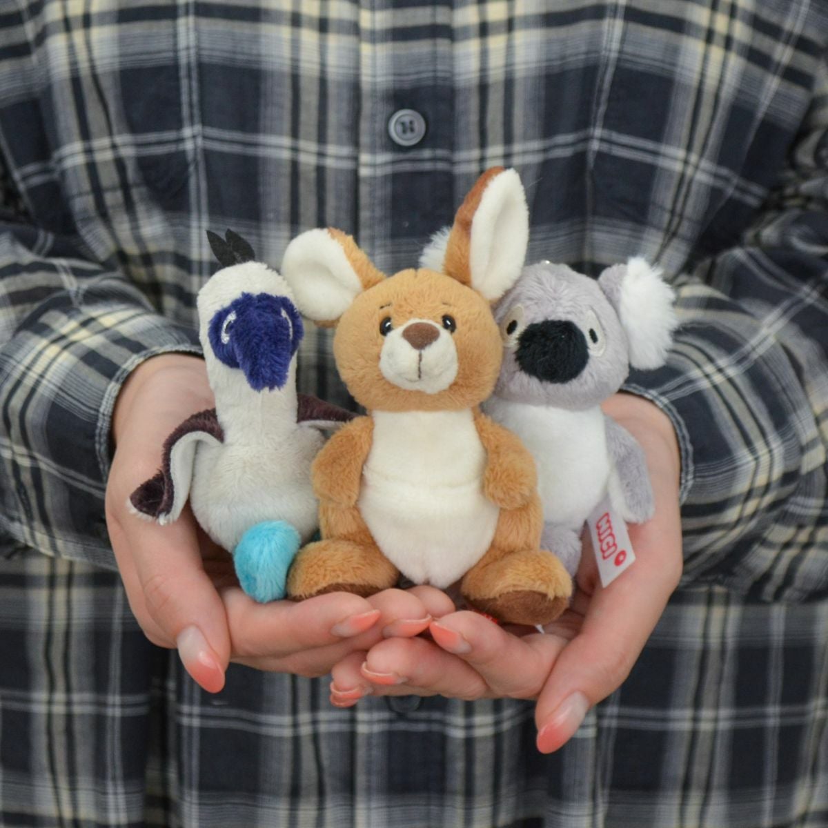 キーホルダー WF25 コアラ バリー 10cm／NICI（ニキ） | entresquare.com