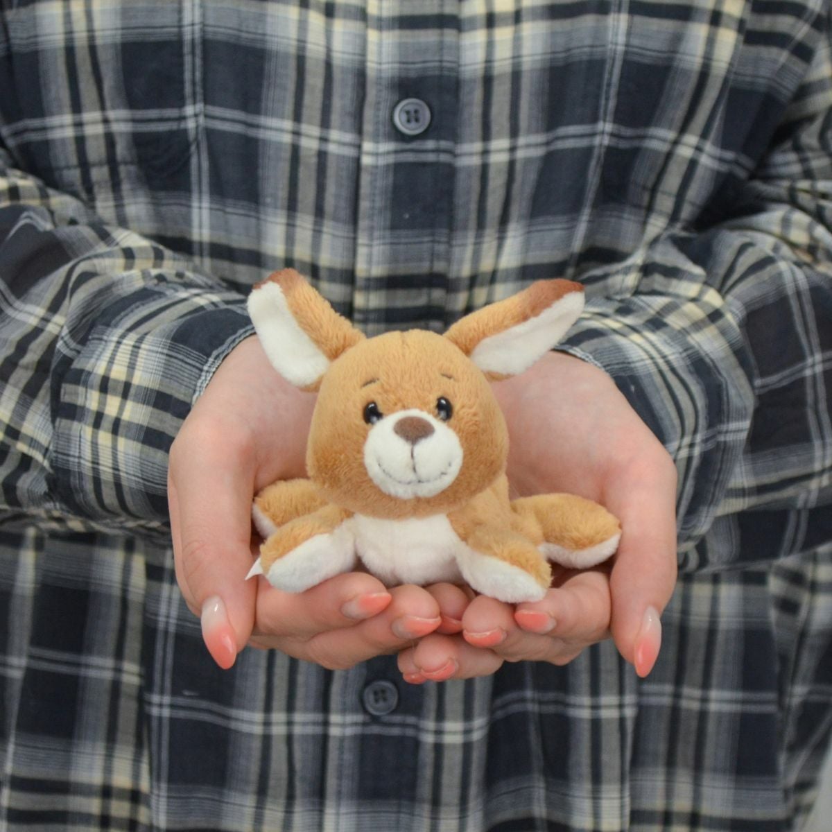 MN WF25 カンガルー ケリー 12cm／NICI（ニキ） | entresquare.com