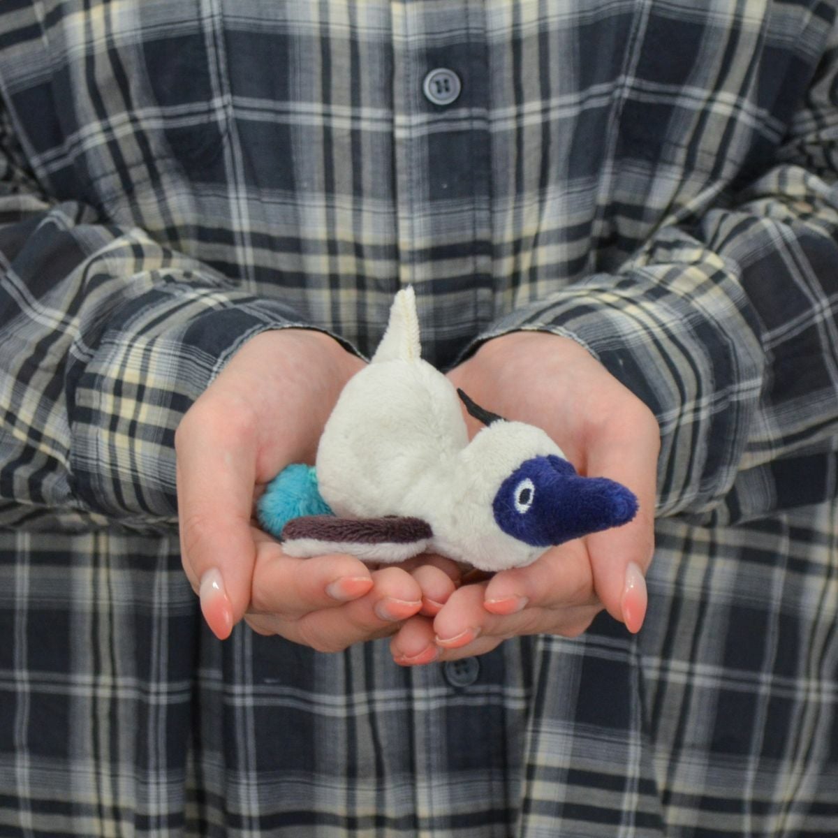 MN WF25 アオアシカツオドリ スーラ 12cm／NICI（ニキ） | entresquare.com