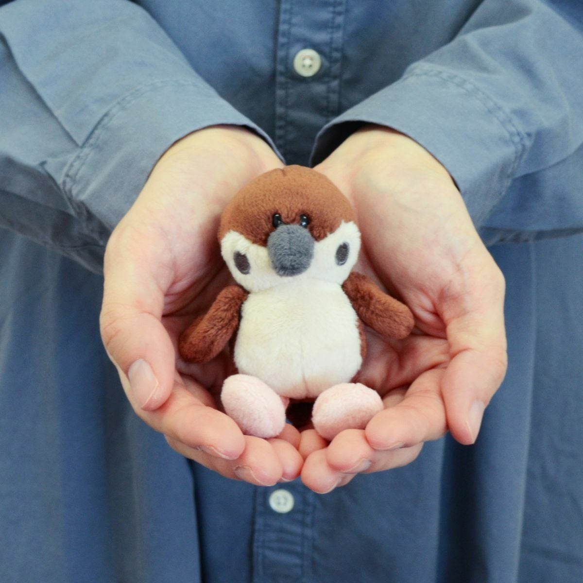 Bird キーホルダー スズメ 10cm／NICI（ニキ） | entresquare.com