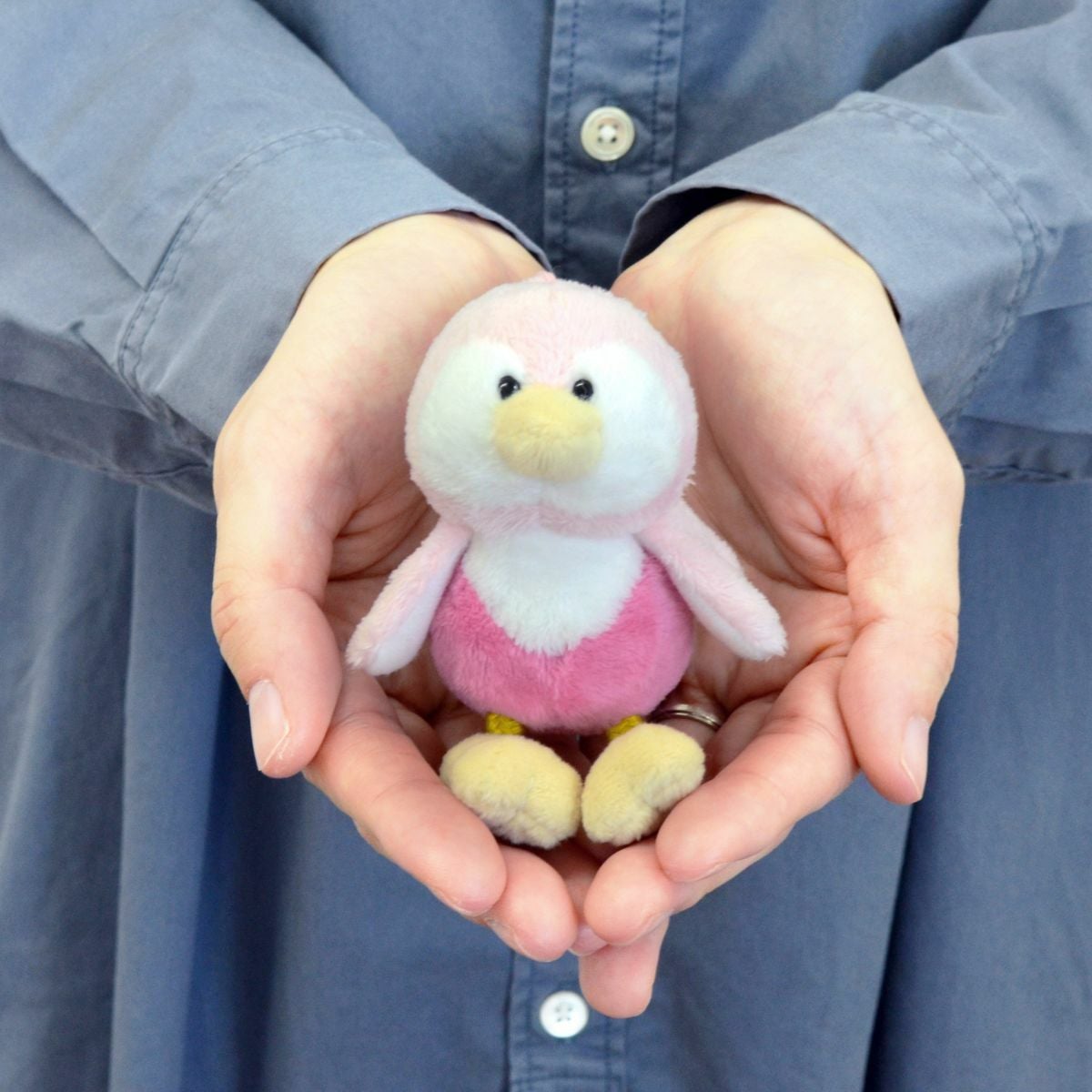 Bird キーホルダー ヒヨドリ ロビン 2025 10cm／NICI（ニキ