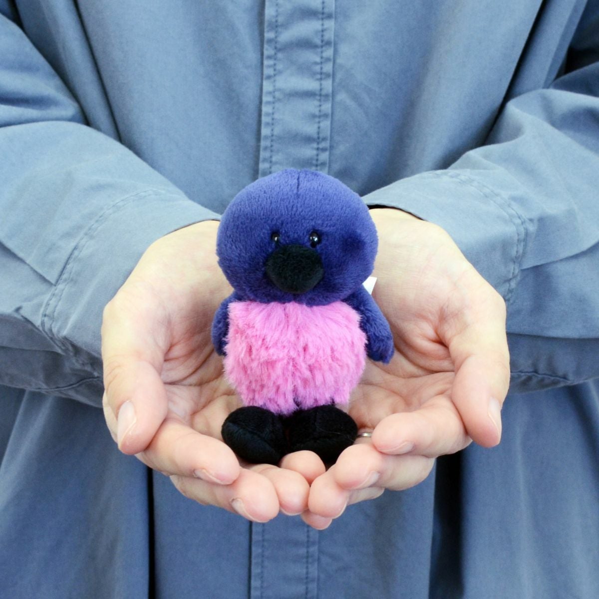 Bird キーホルダー ピンクロビン 10cm／NICI（ニキ） | entresquare.com