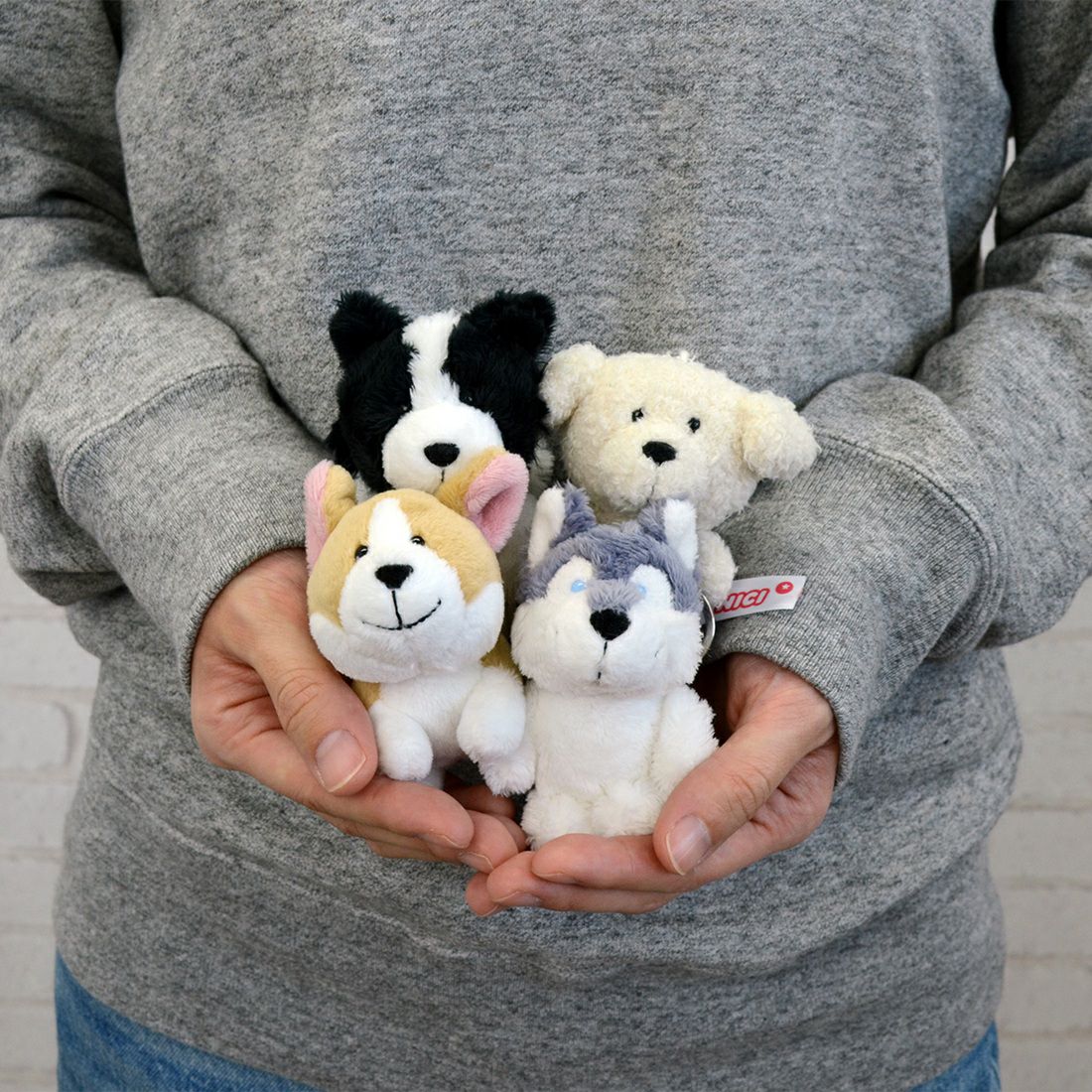 Dogs 2026 キーホルダー シベリアンハスキー 10cm／NICI（ニキ