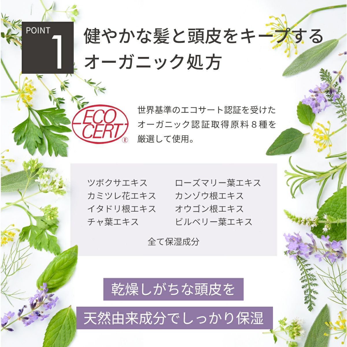 IDOL スカルプD ボーテ スカルプシャンプー＆トリートメントセット