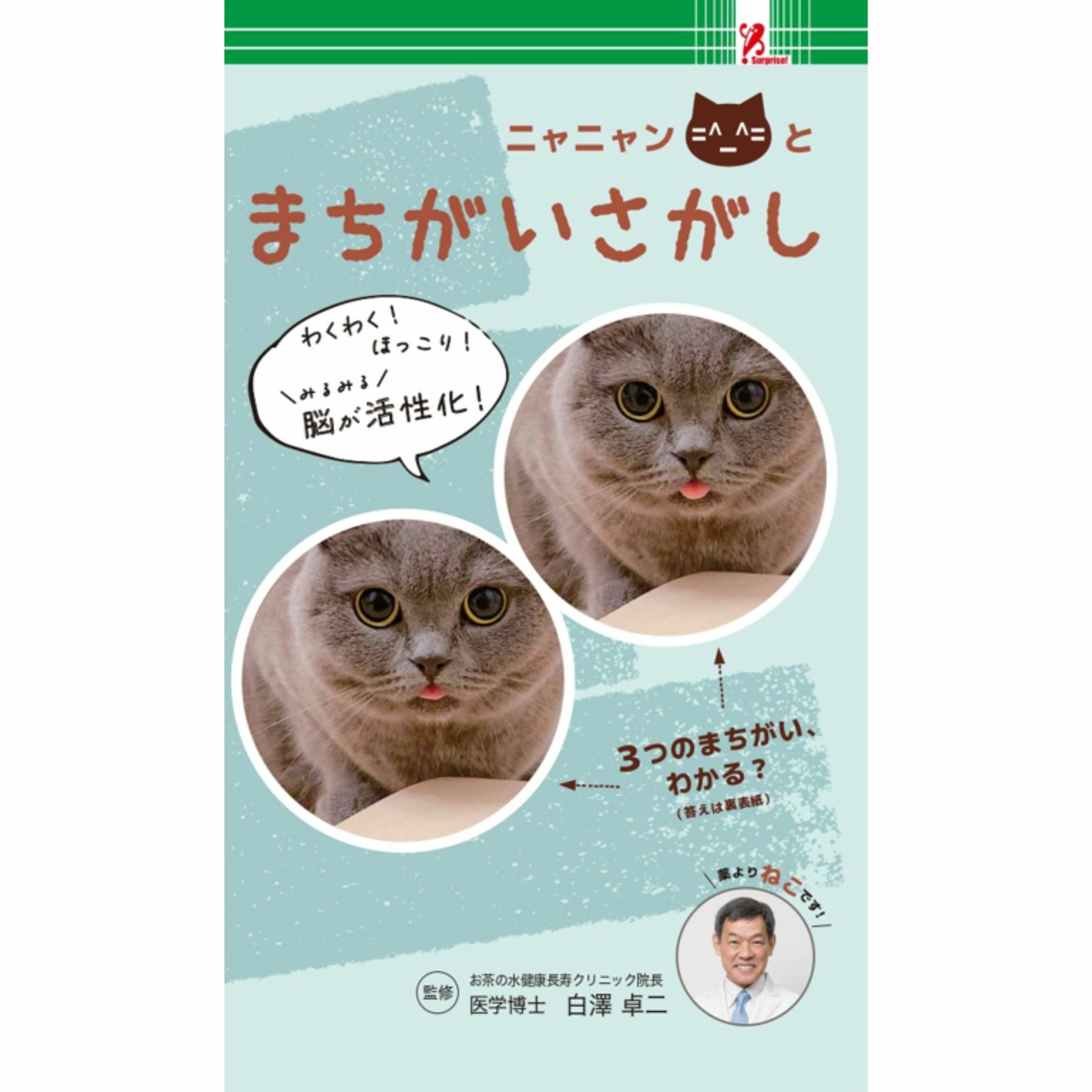 島田秀平が教える金運上昇手相占い2025／Surprise Book（サプライズ