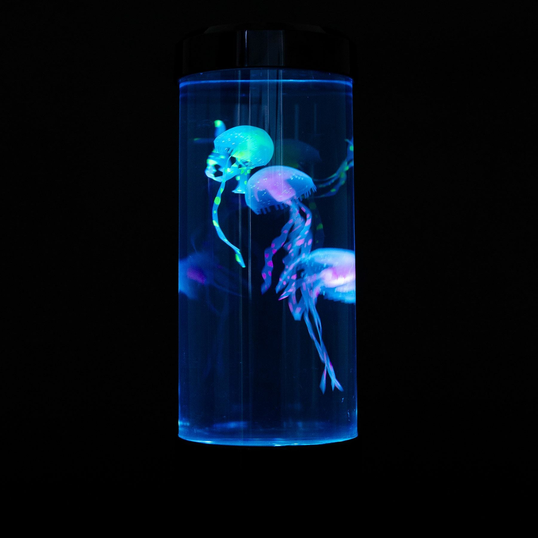 Jellyfish /Fan Club４枚組 ジェリーフィッシュ h0138spk-02a.jpg