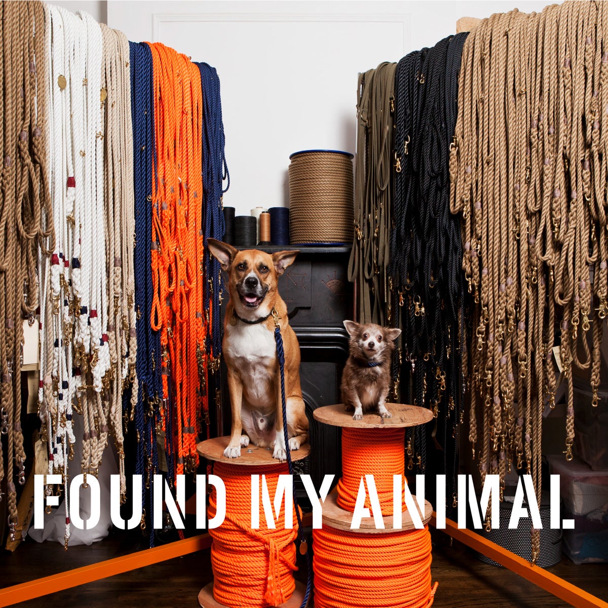 FMA 7FT ADJUSTABLE LEASH (リード)ナイロン製 全7色×3サイズ／FOUND