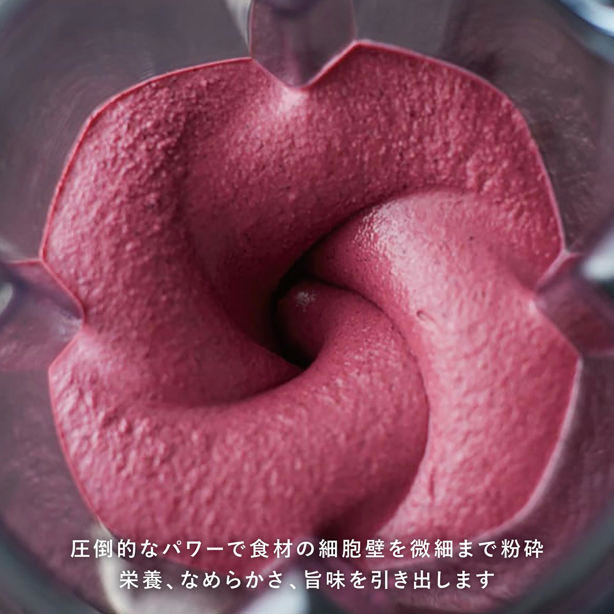 公式】バイタミックス Vitamix ミキサーA3500i PERFECT SET日本正規