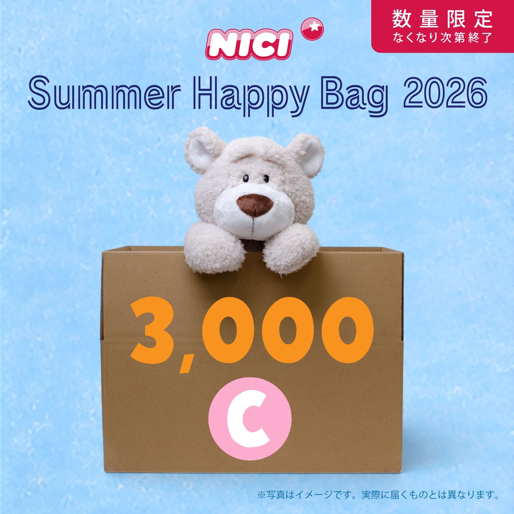 NICIサマーハッピーバッグ5000-F／NICI（ニキ） | entresquare.com