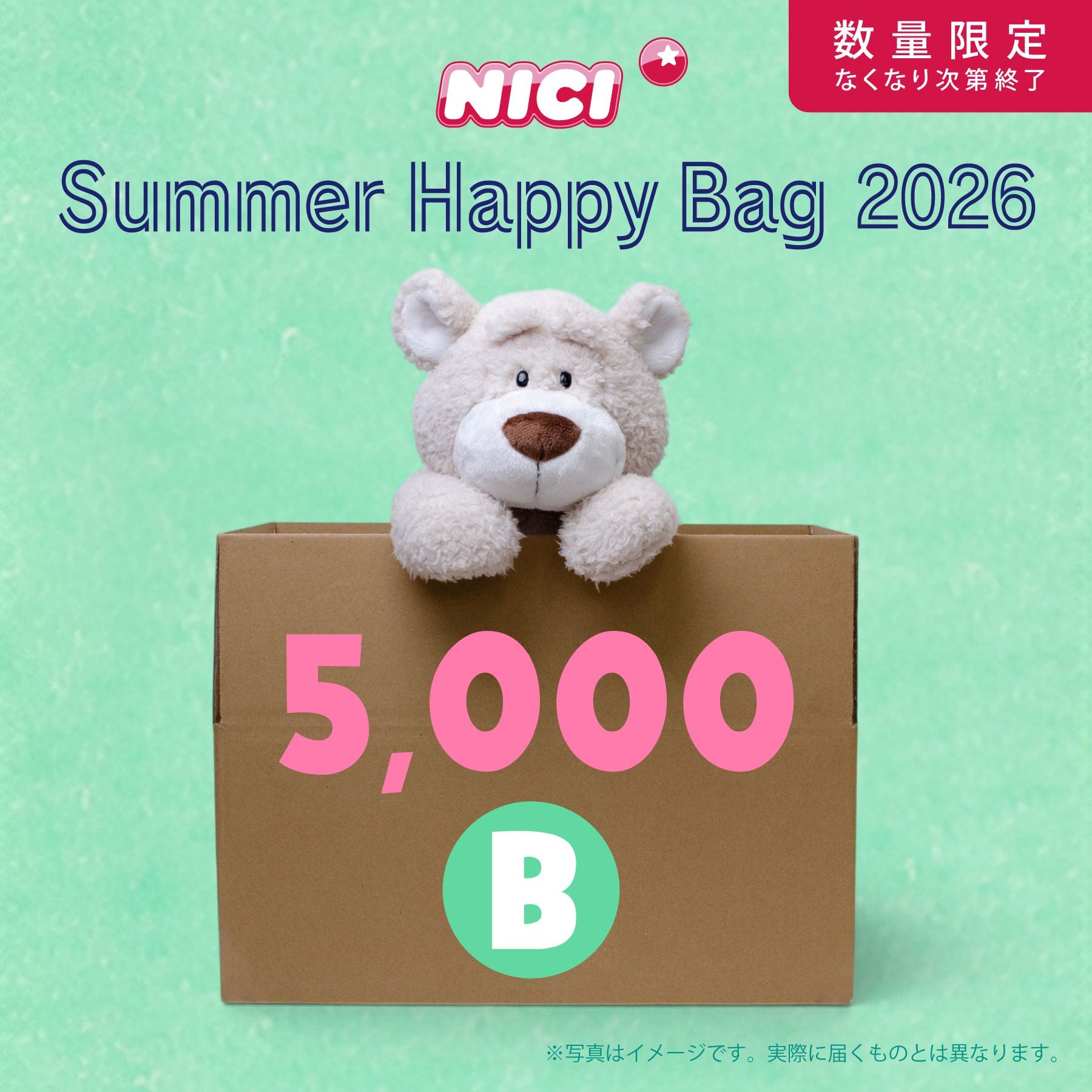 NICIサマーハッピーバッグ3000-A／NICI（ニキ） | entresquare.com