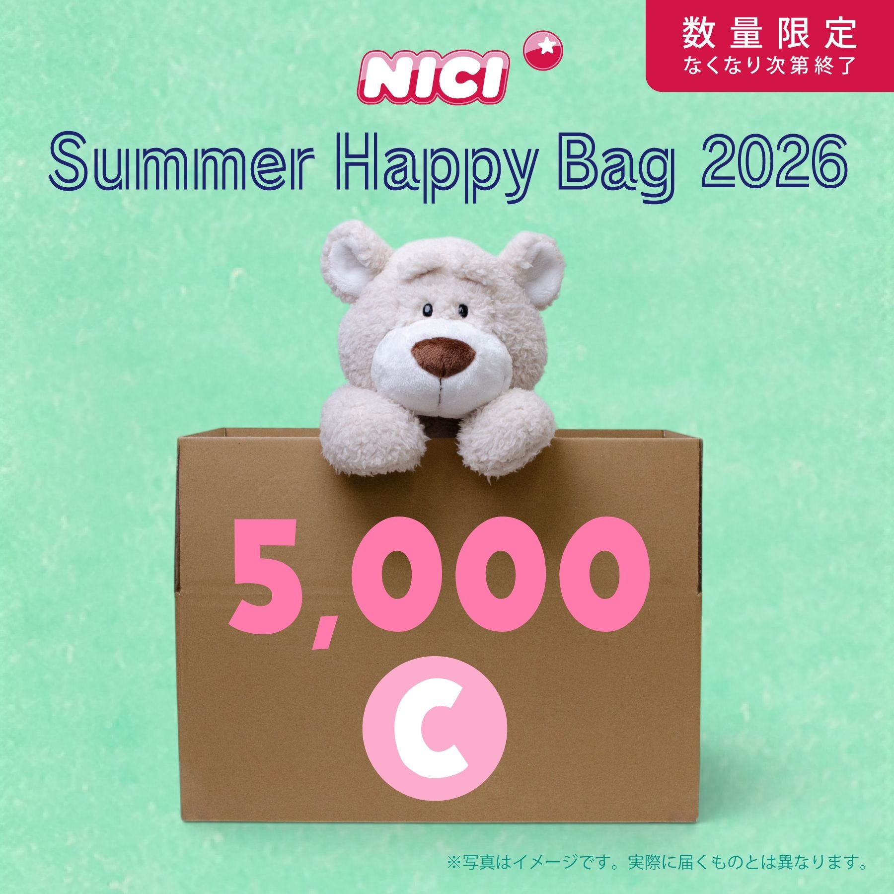NICIサマーハッピーバッグ5000-C／NICI（ニキ） | entresquare.com