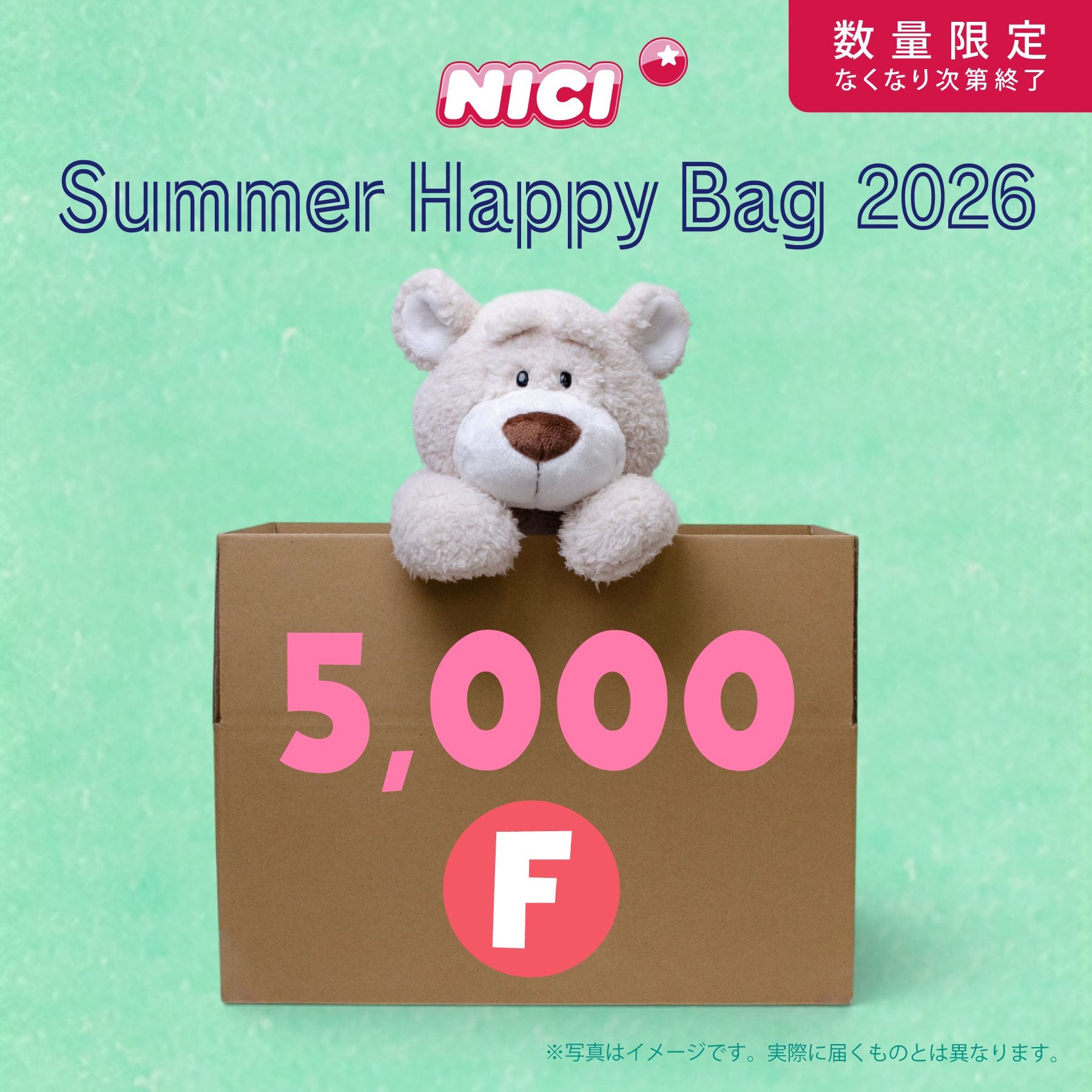 nikiサマ専用 NICIサマーハッピーバッグ5000-F／NICI（ニキ） | entresquare.com